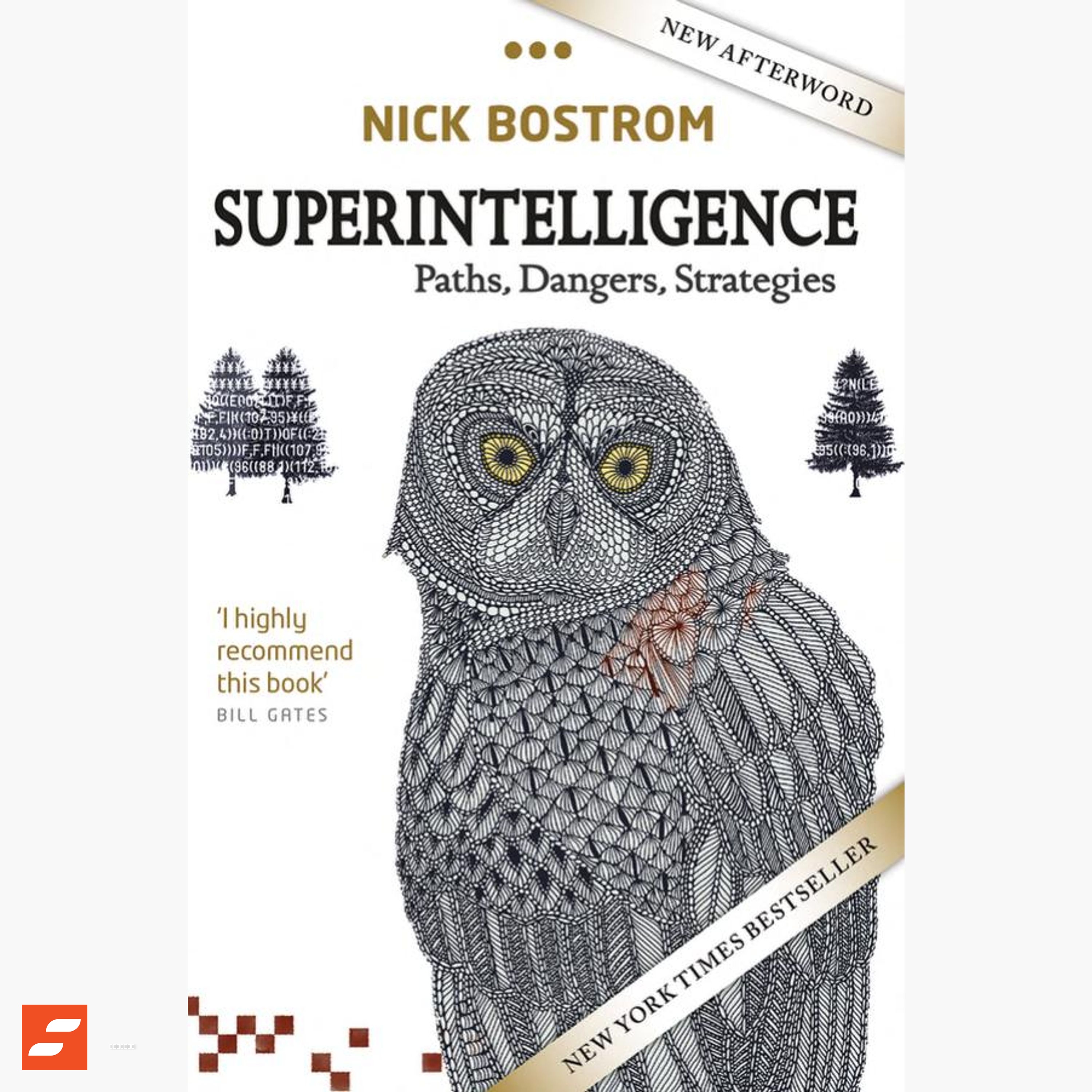 Superintelligenz: Szenarien einer kommenden Revolution Zusammenfassung | Nick B. episode artwork