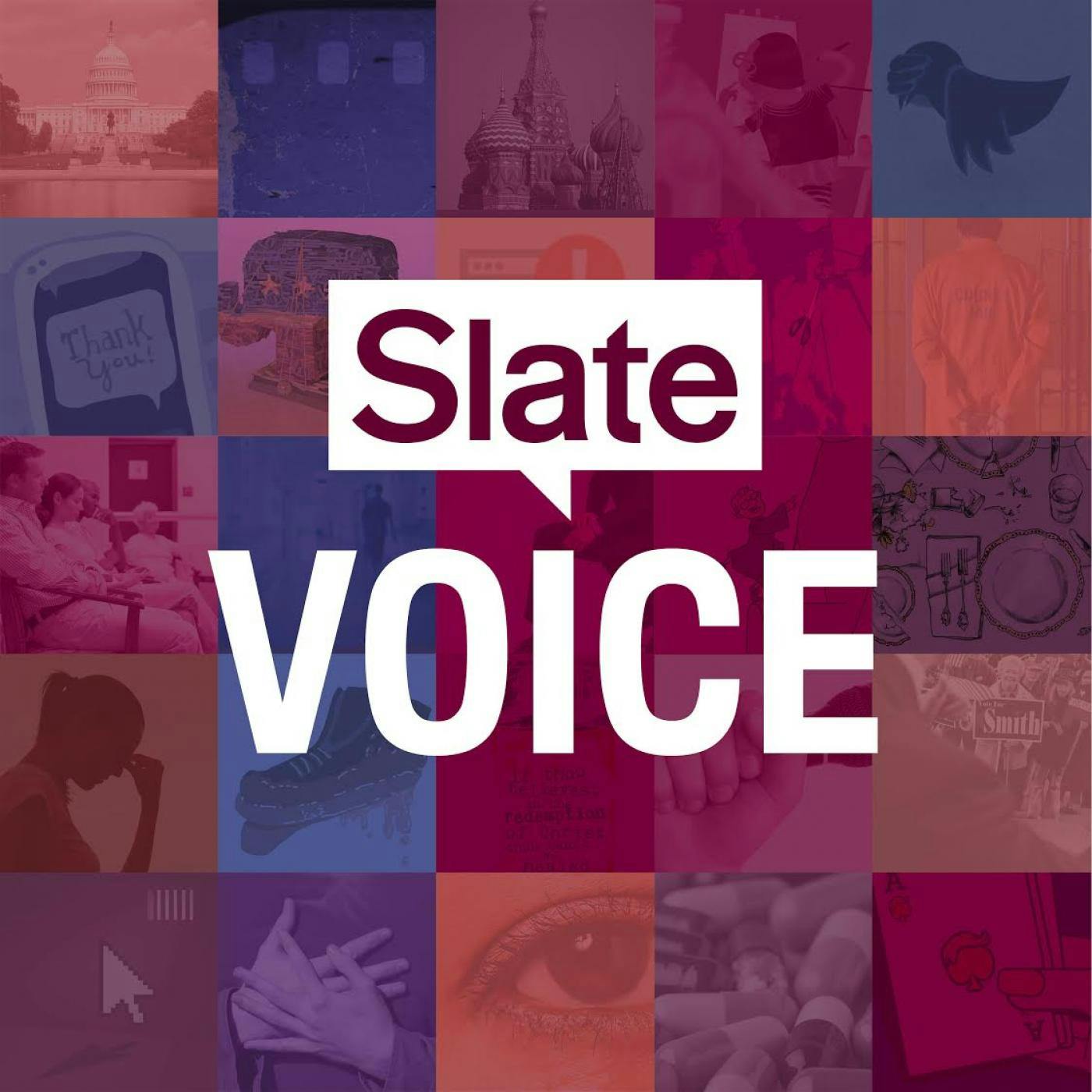 Slate Voice
