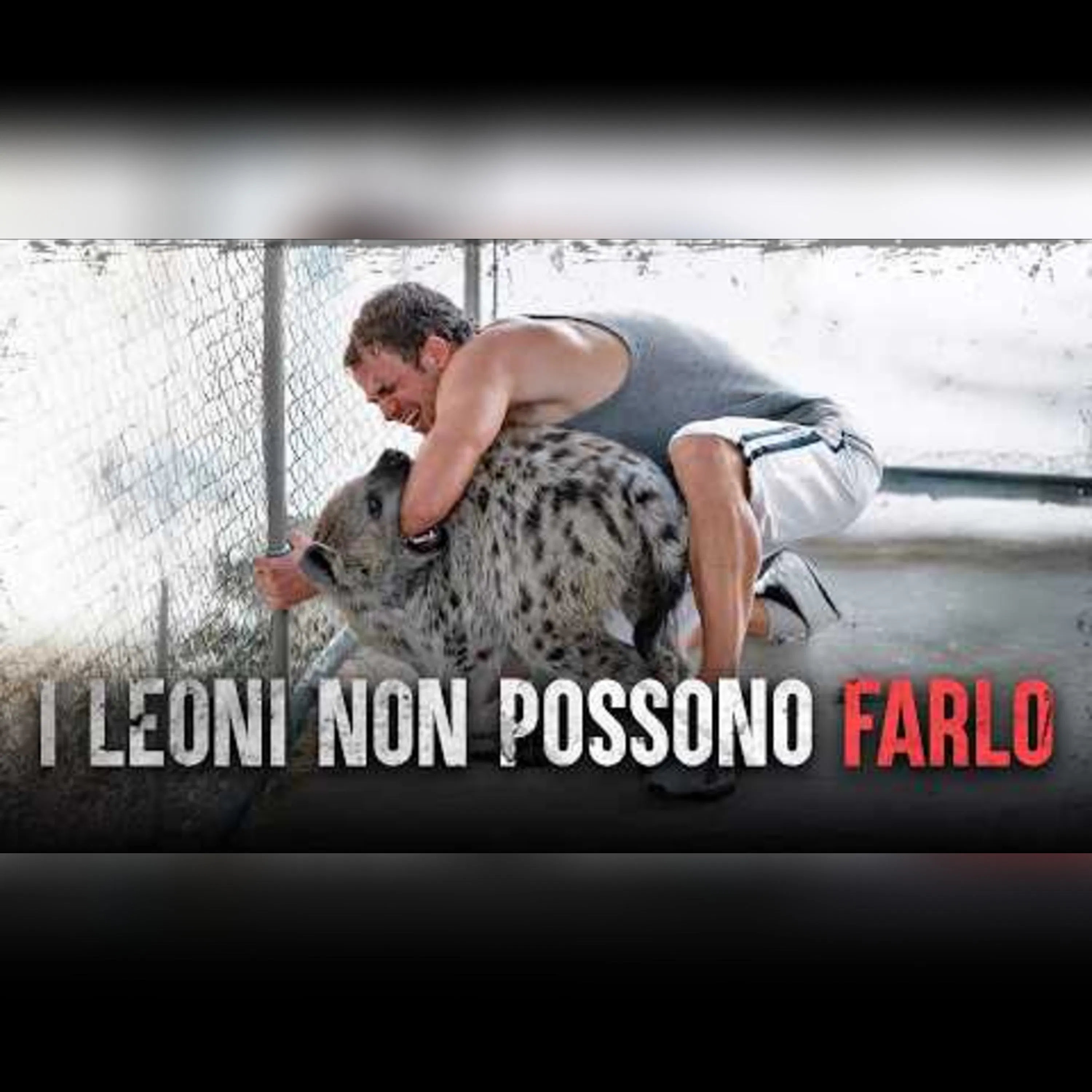 Gli attacchi più letali delle iene episode artwork