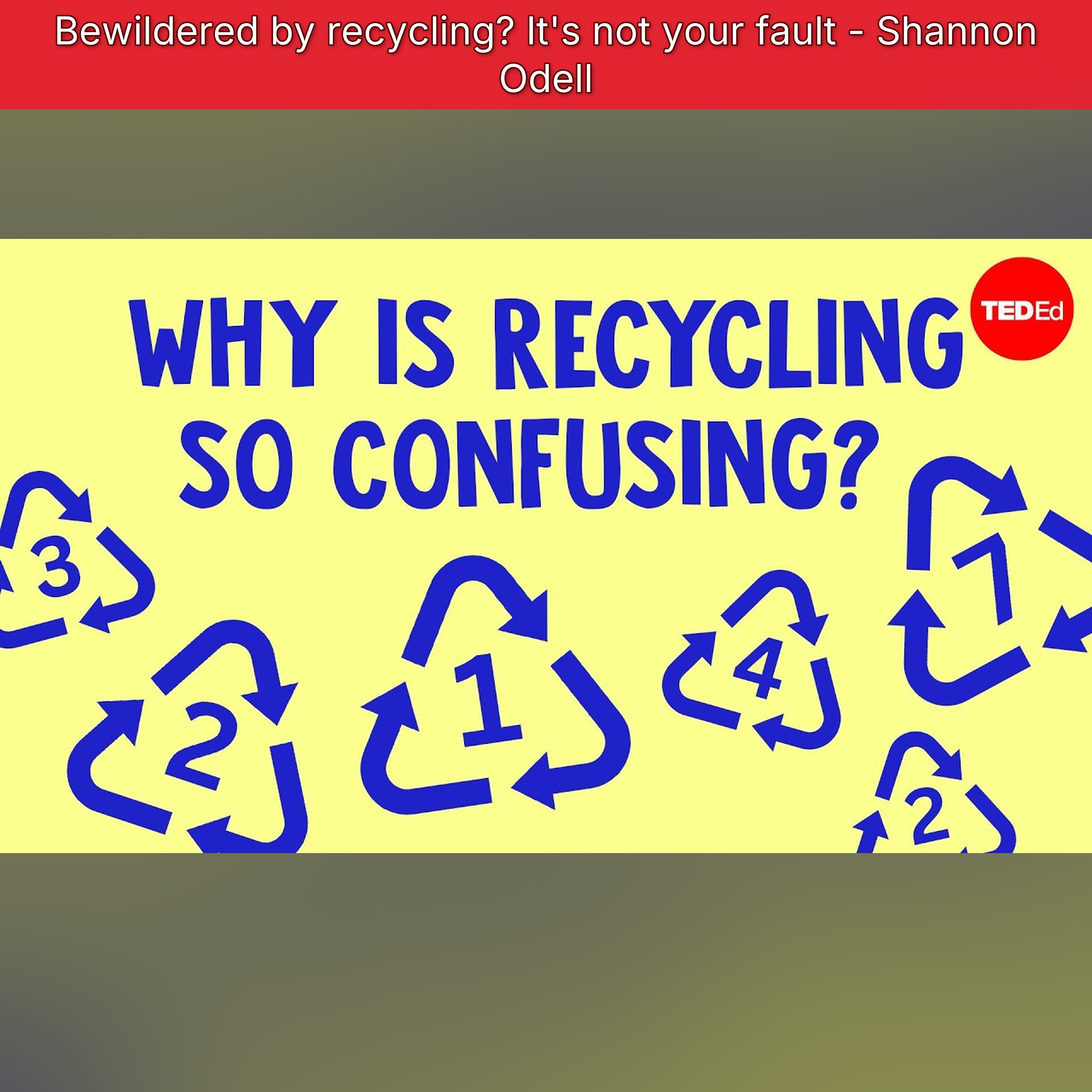 Bewildered by recycling? It's not your fault - Shannon Odell episode artwork
