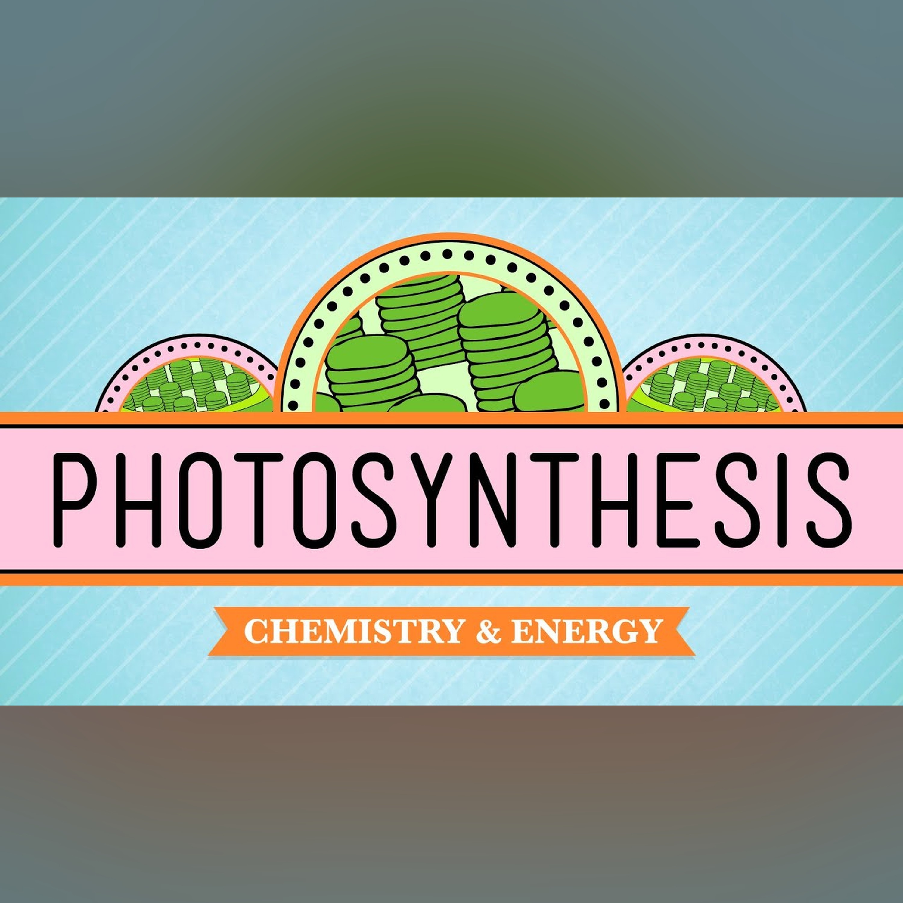 Photosynthesis: Crash Course Biology #8