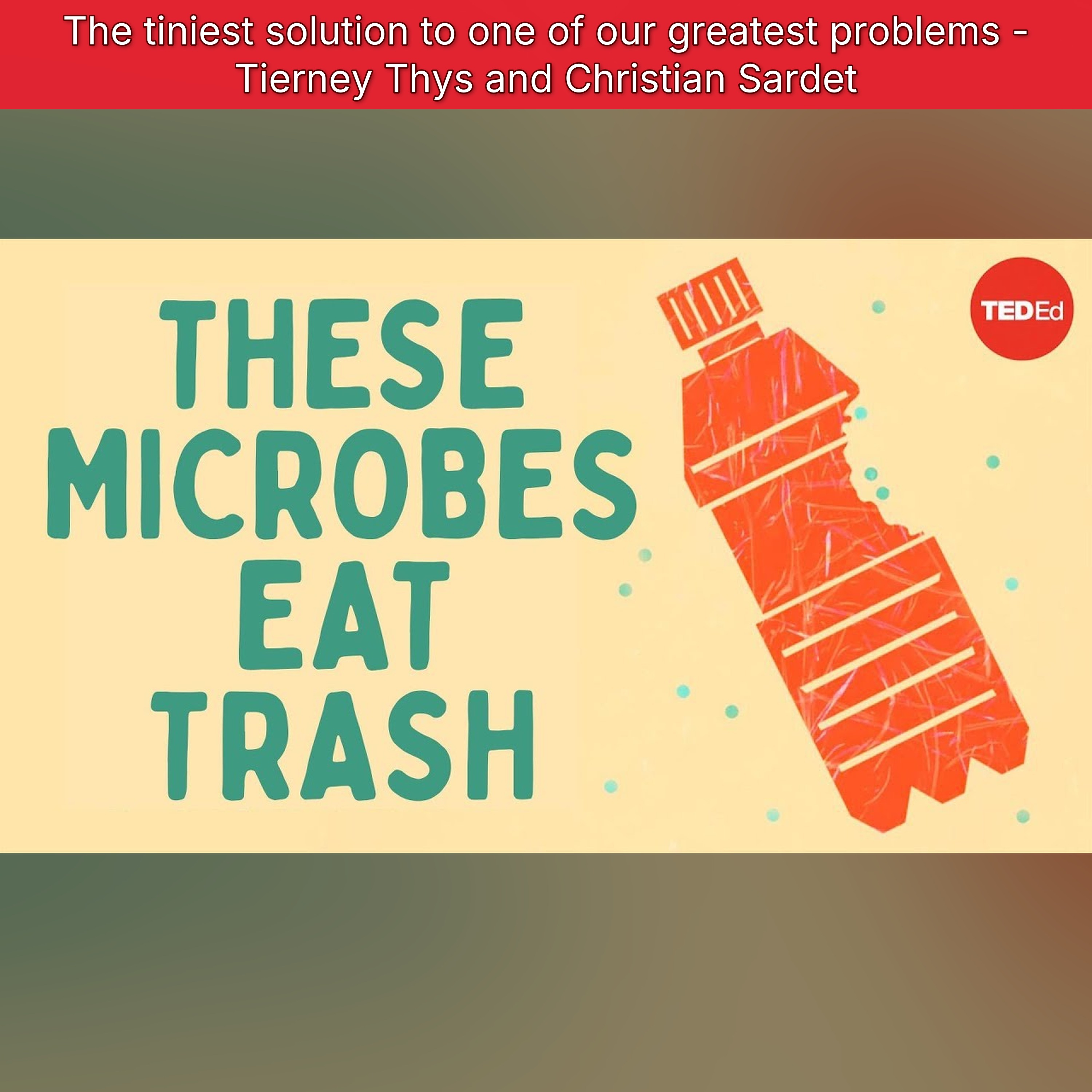 The tiniest solution to one of our greatest problems - Tierney Thys and Christian Sardet episode artwork