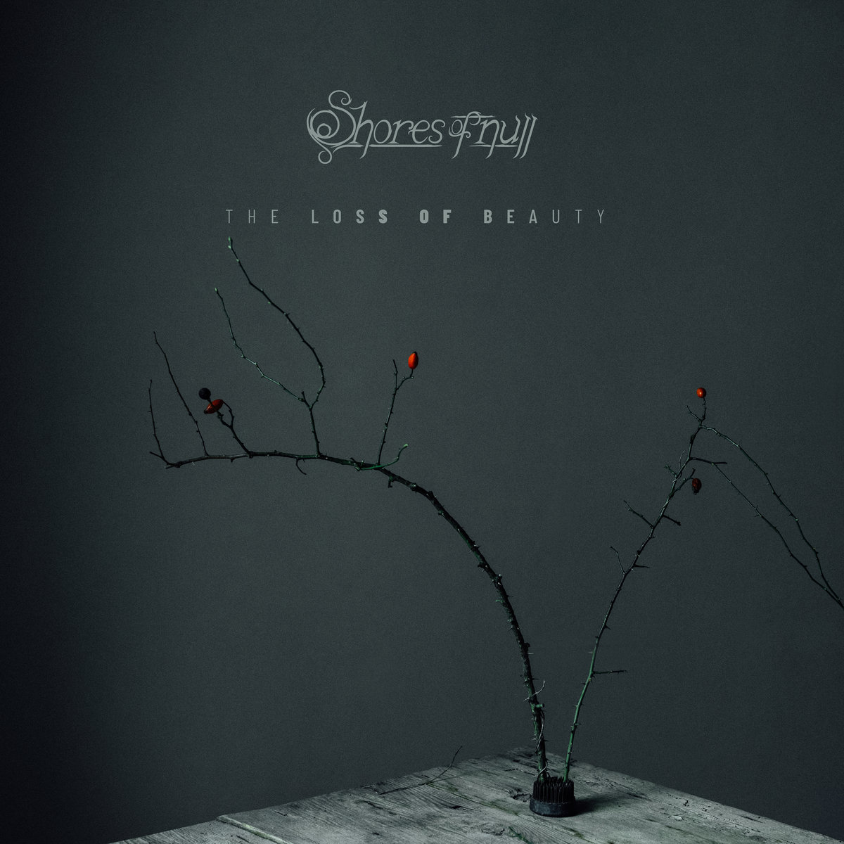 Shores of Null "The Loss of Beauty" Review by Ray Wheeler episode artwork