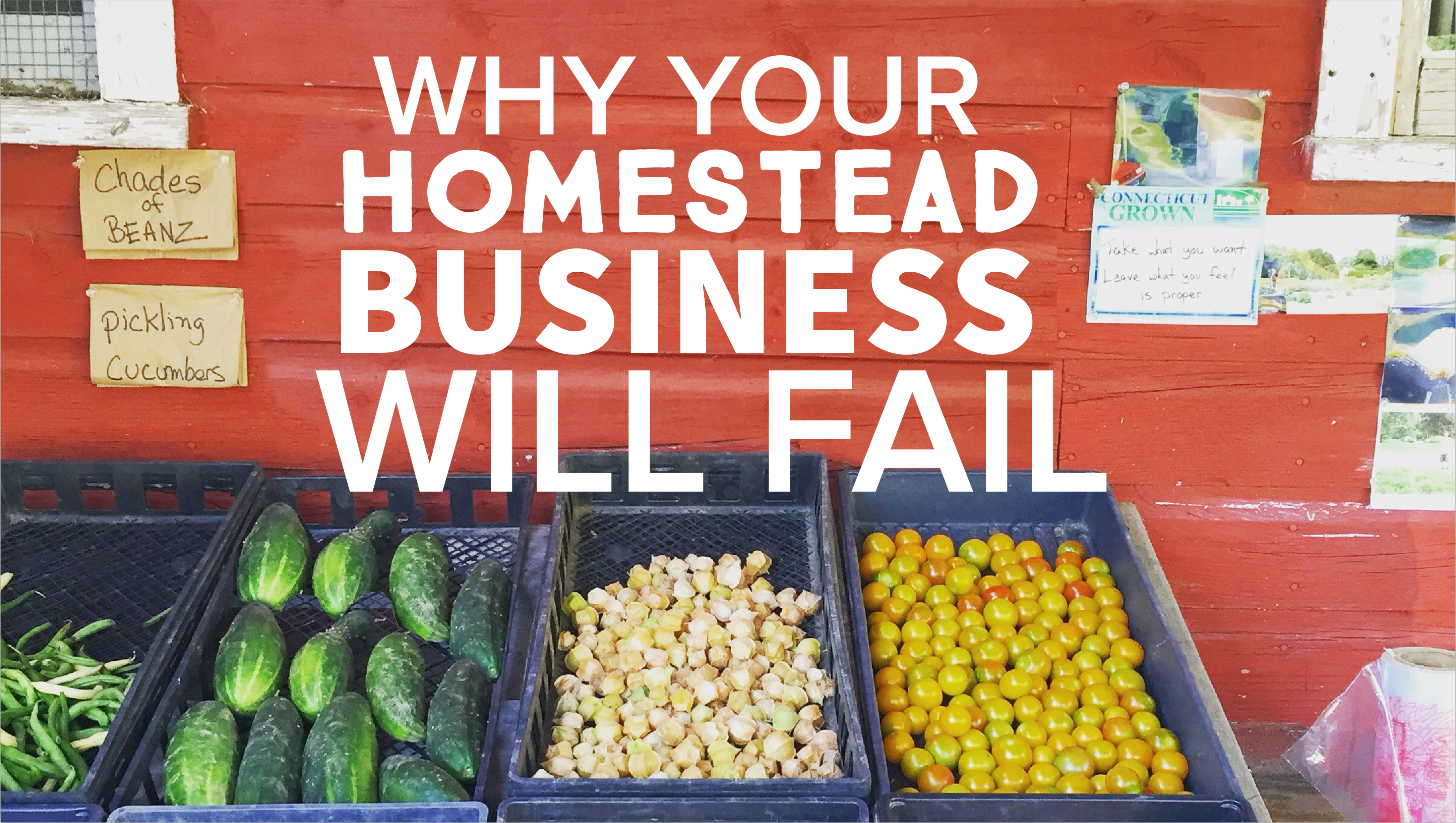 Homesteady - Stories of Living off the Land