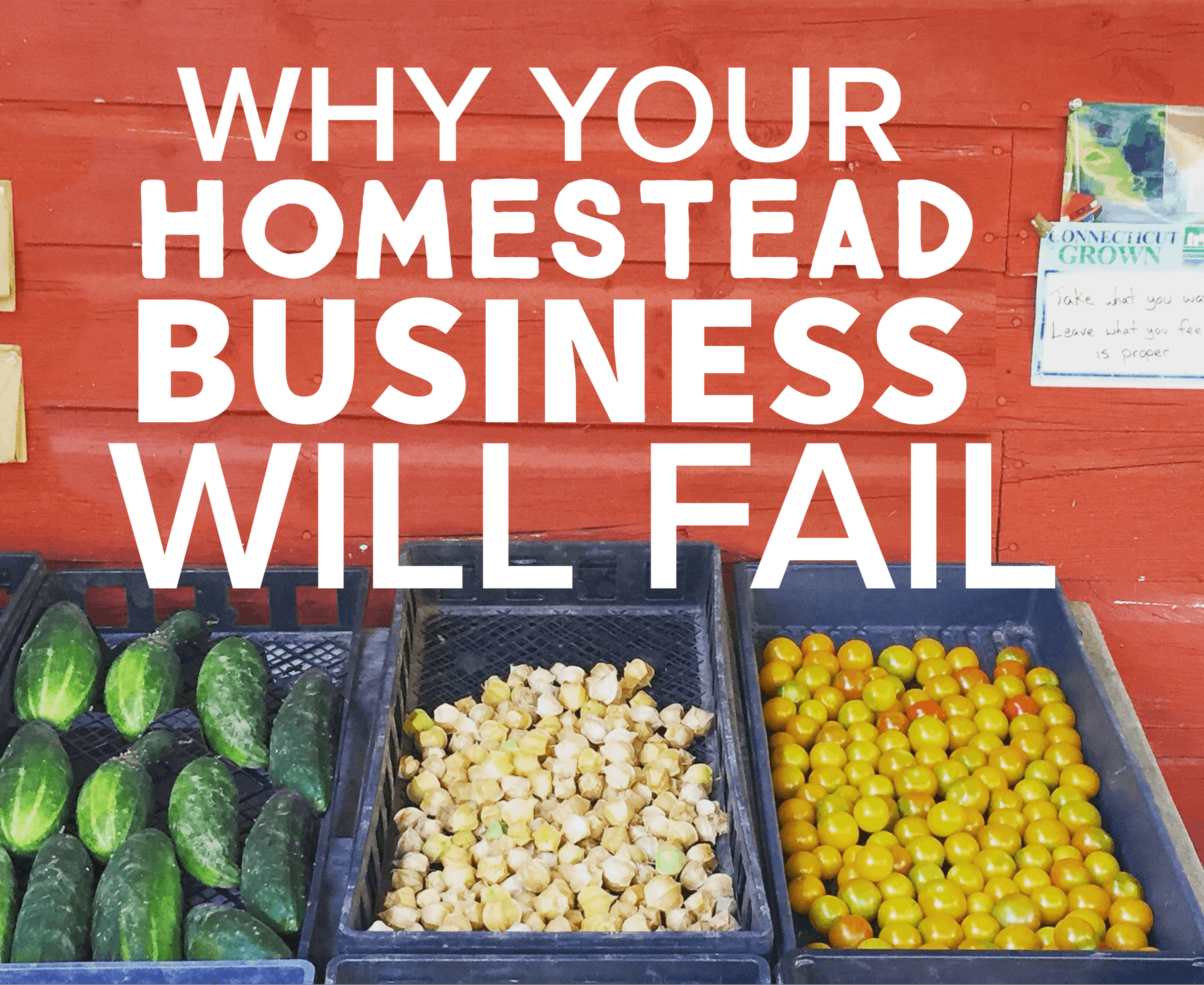3 Reasons Why Your Homestead Business Will Fail
