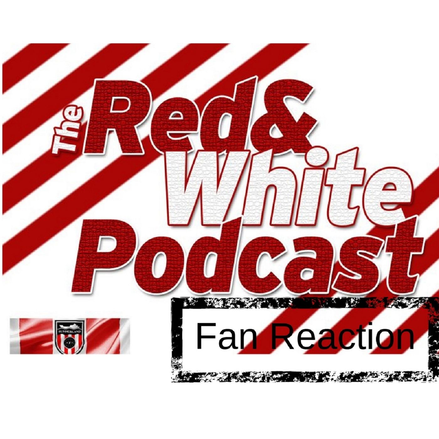 Fan Reaction - More Frustration as Sunderland draw with Accrington