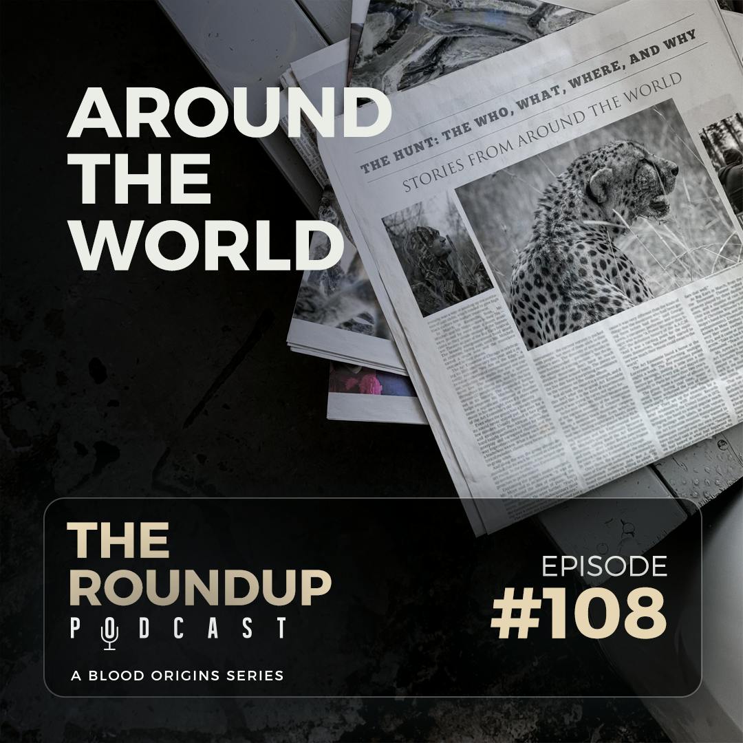 Roundup 108 || Back to your regularly scheduled Roundup programming