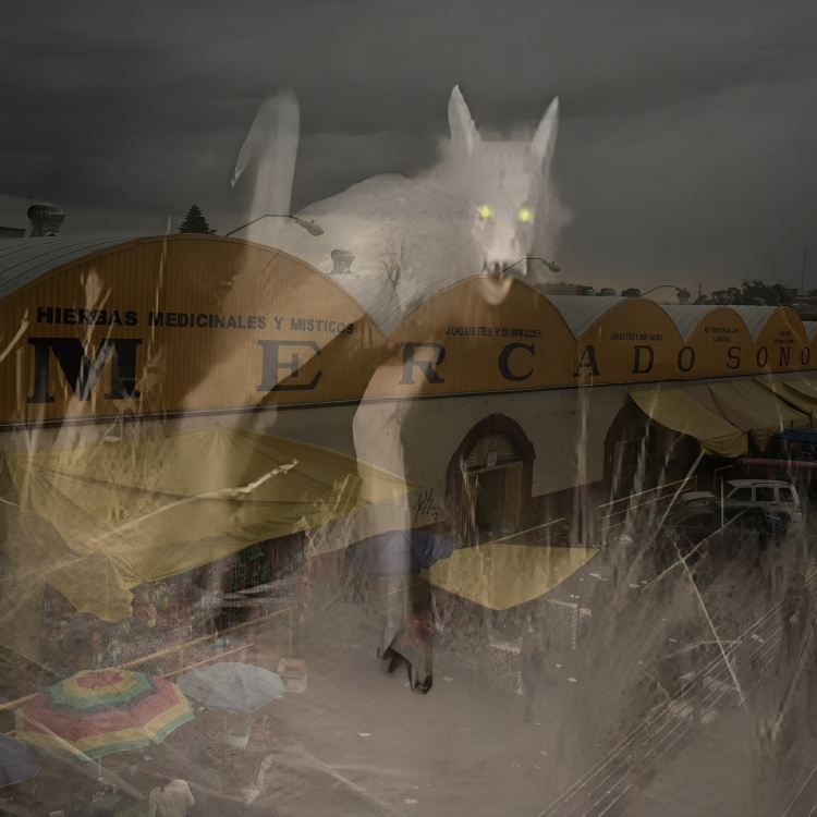 EL NAHUAL DE LA MERCED Y FANTASMAS MEXICAS EN EL CENTRO HISTORICO