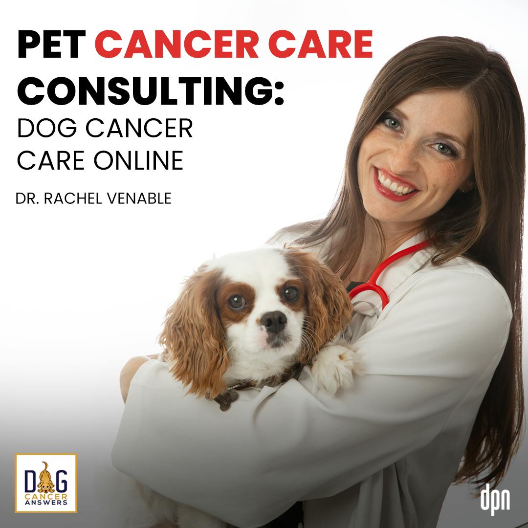Pet Cancer Care Consulting: Dog Cancer Care Online | Dr. Rachel Venable