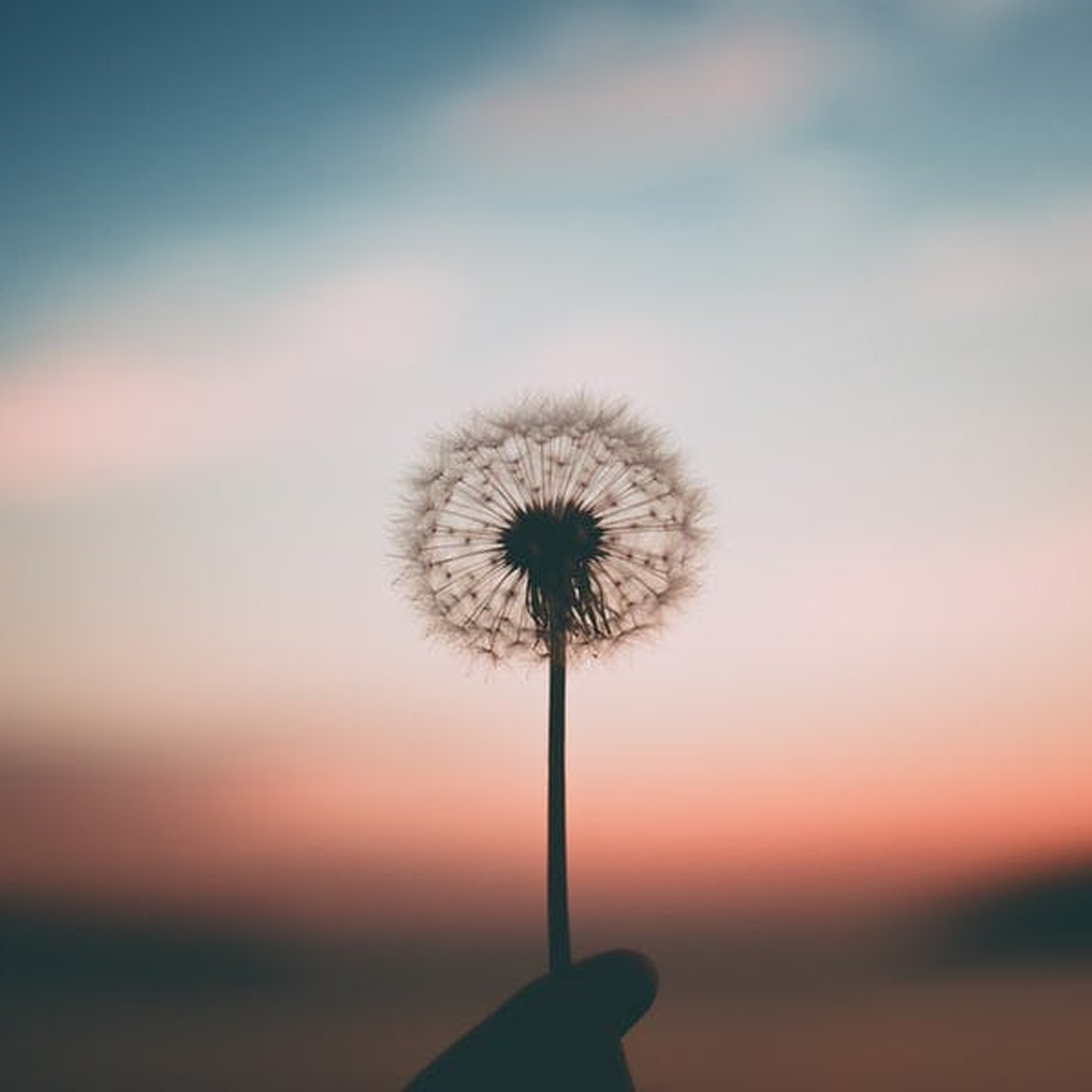 Ep. 149: Say Something Right Away: A Seize The Day Episode