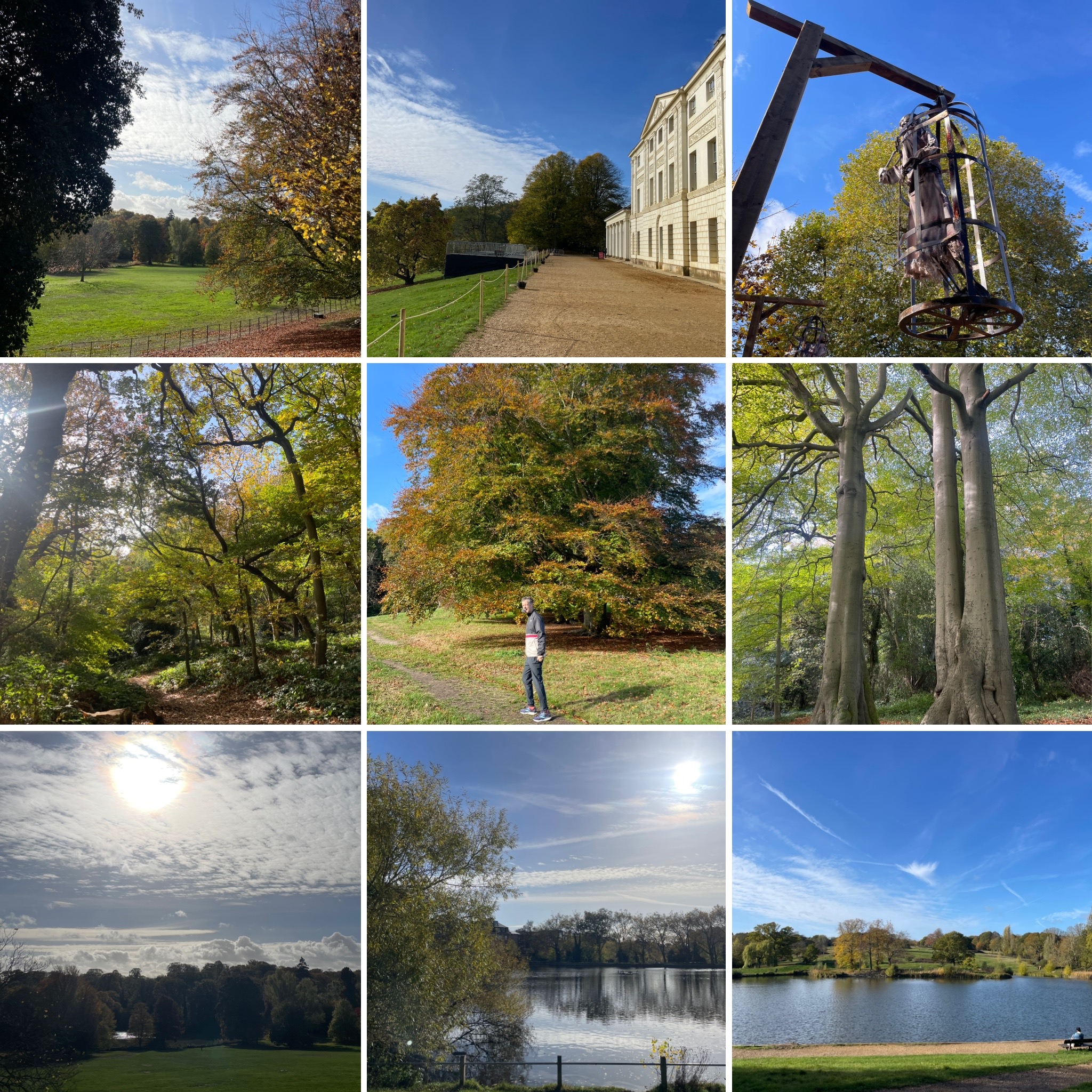 Halloween On A Halcyon Heath