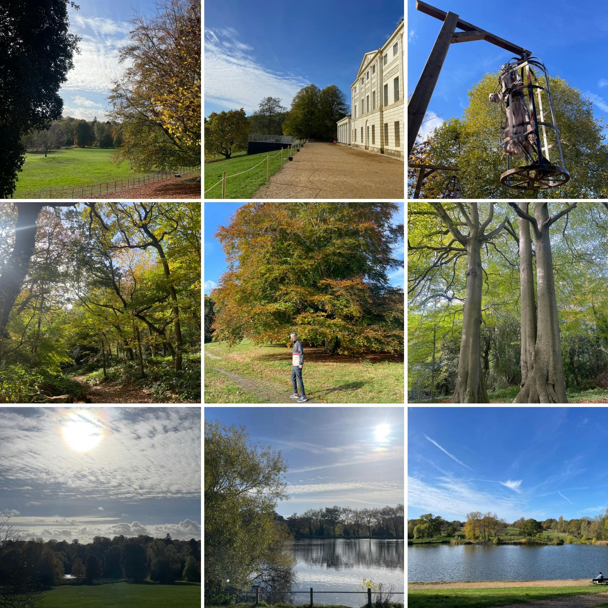 Halloween On A Halcyon Heath