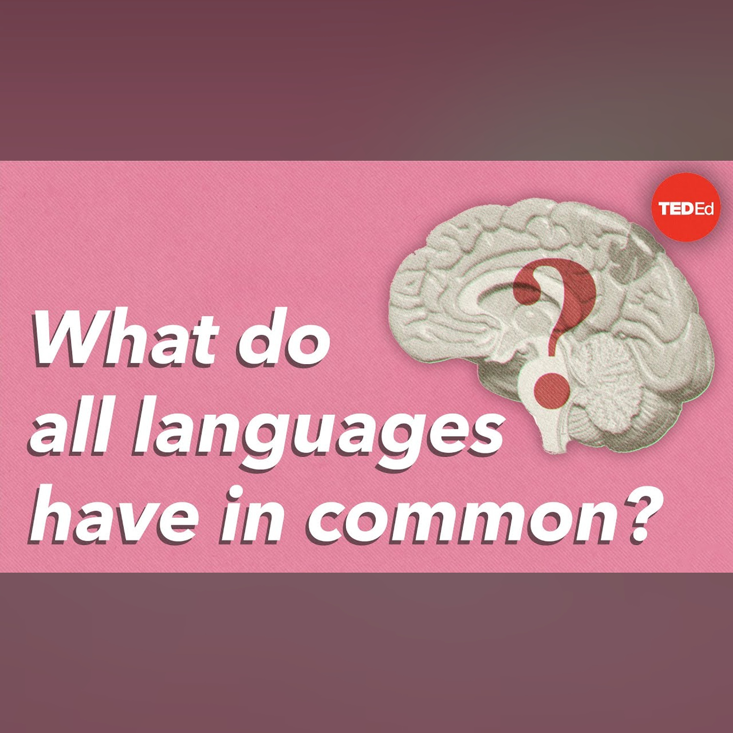 What do all languages have in common? - Cameron Morin