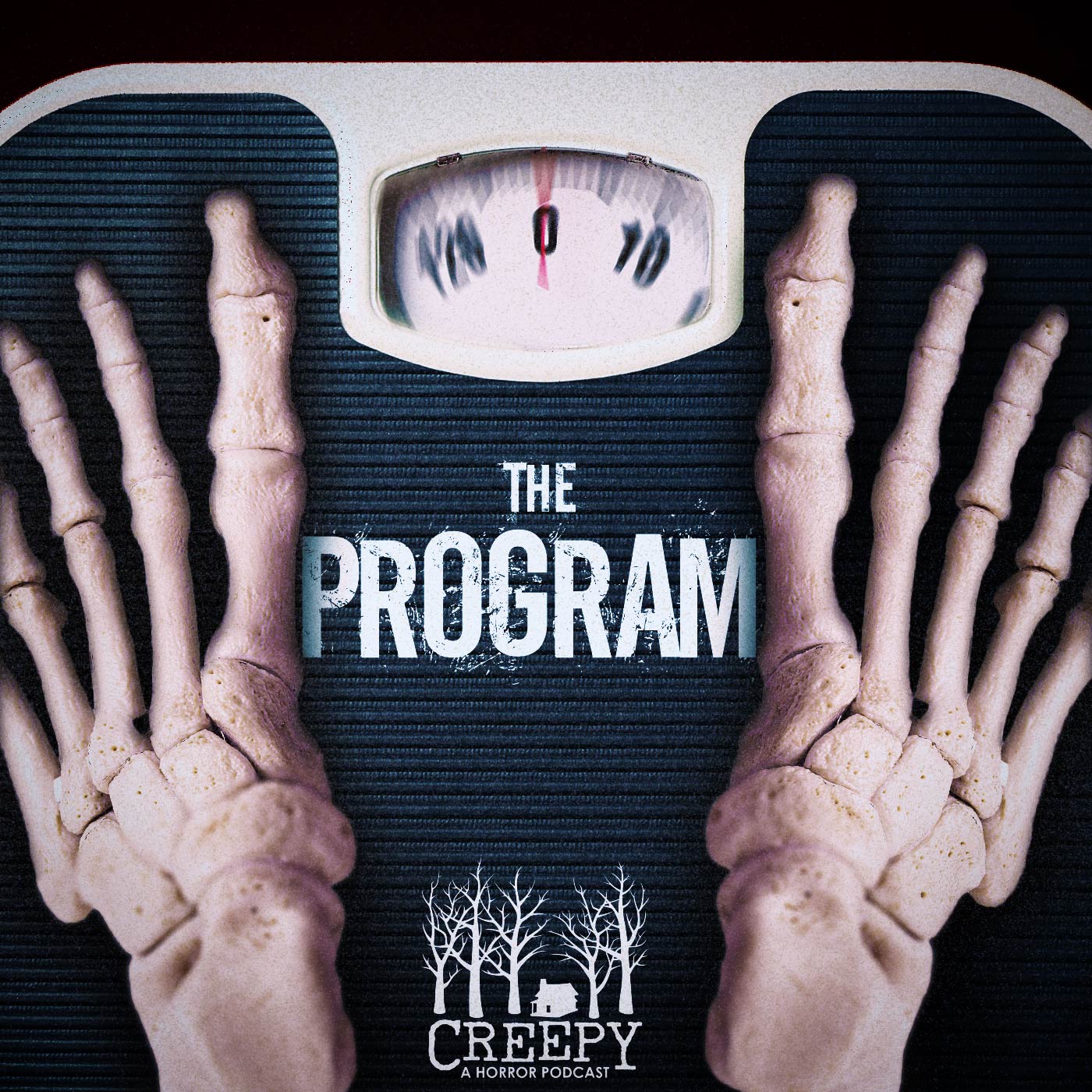 The Program