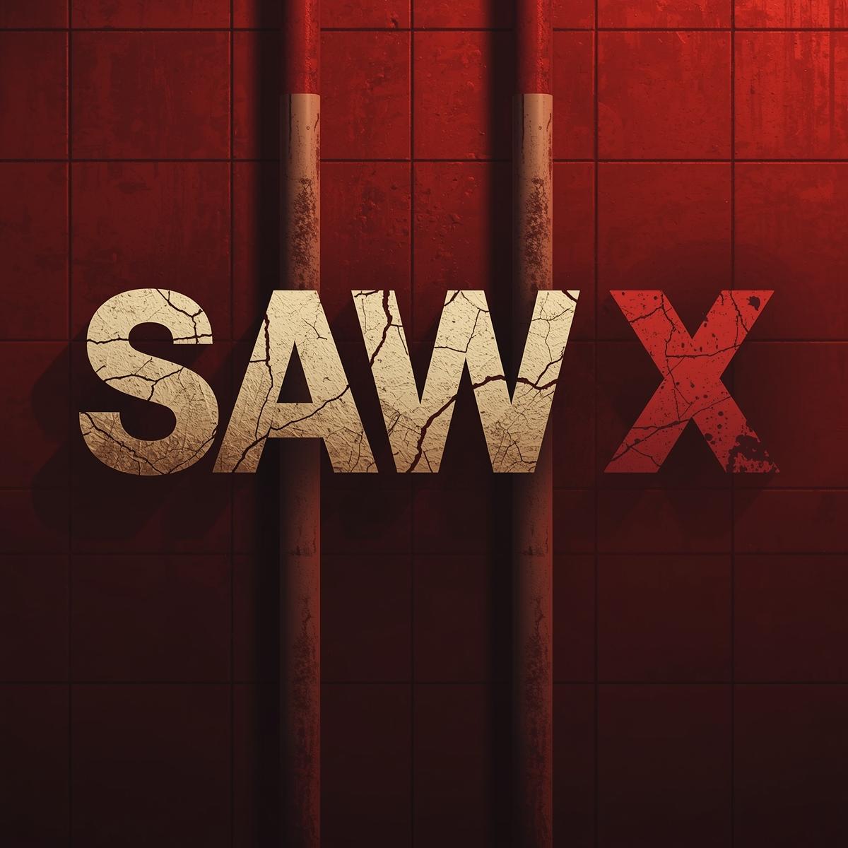 SAW X: Bye Bye for now Saw... and Stu