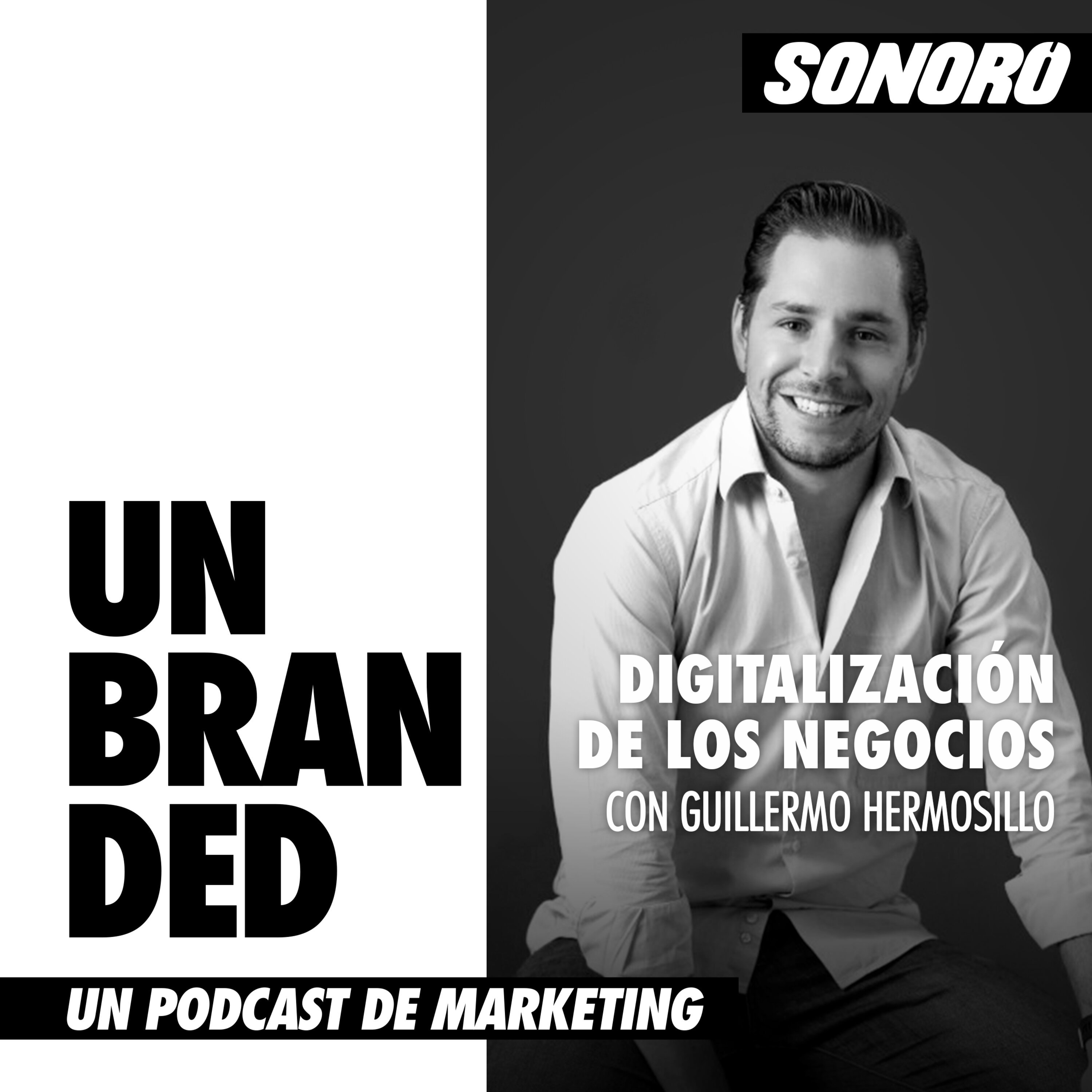 Digitalización de los negocios con Guillermo Hermosillo episode artwork