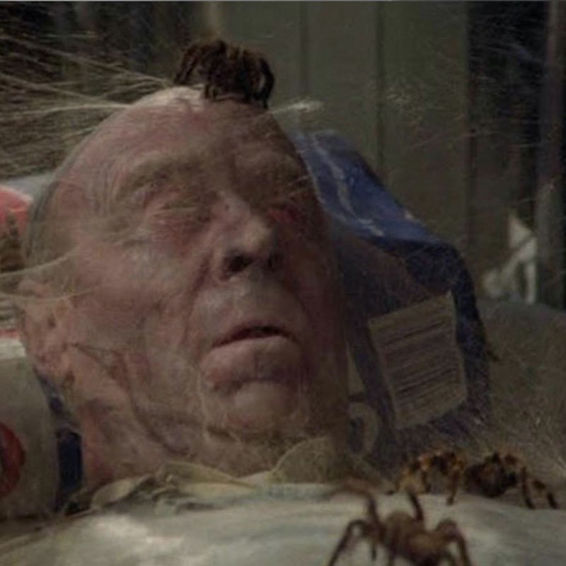 Arachnophobia (1990)