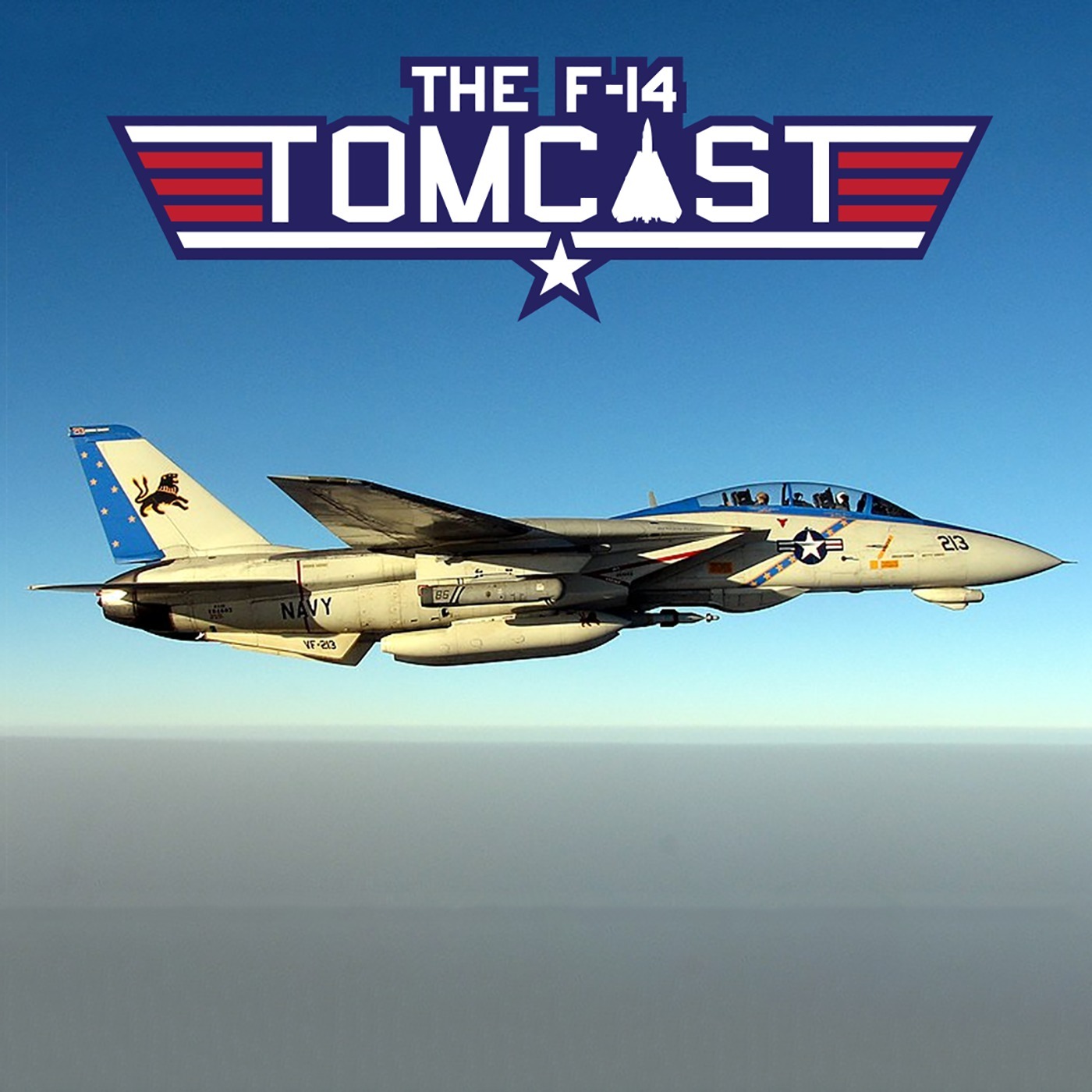 9. Flying the F-14D "Super Tomcat"