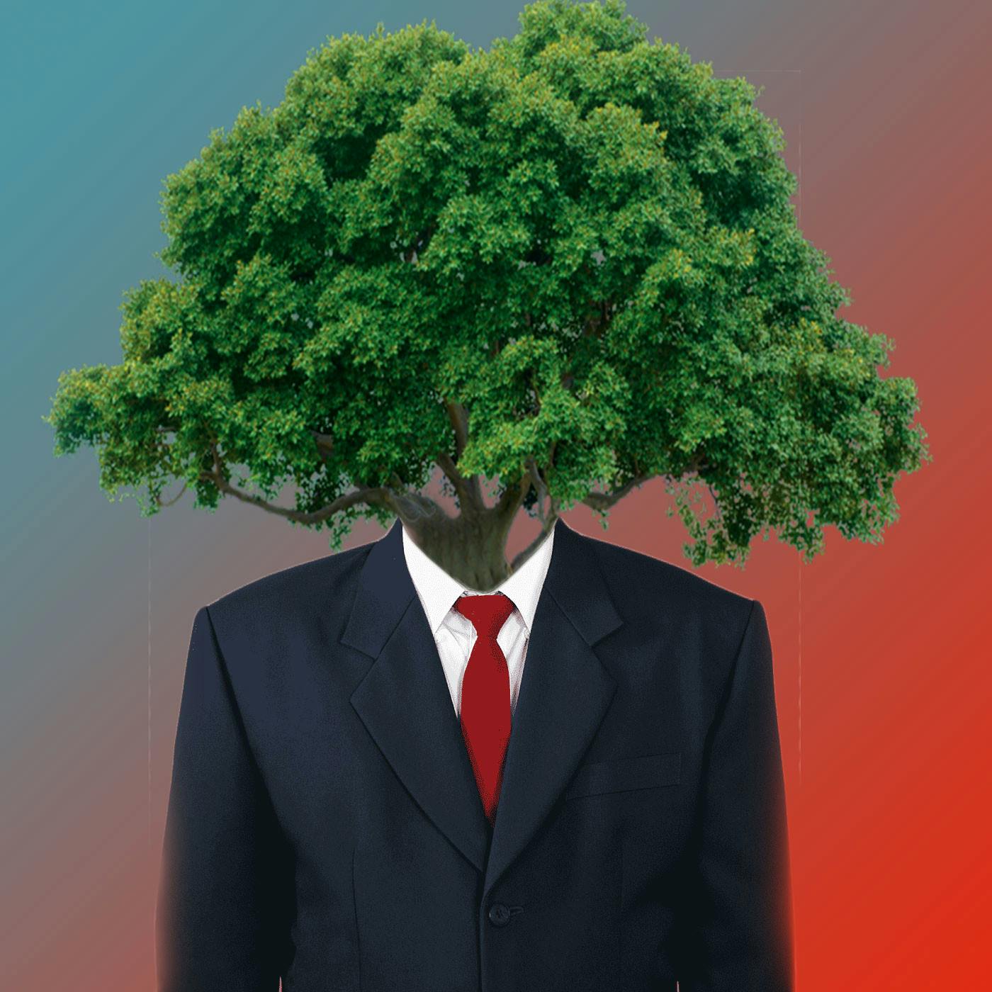 Your Inner Tree