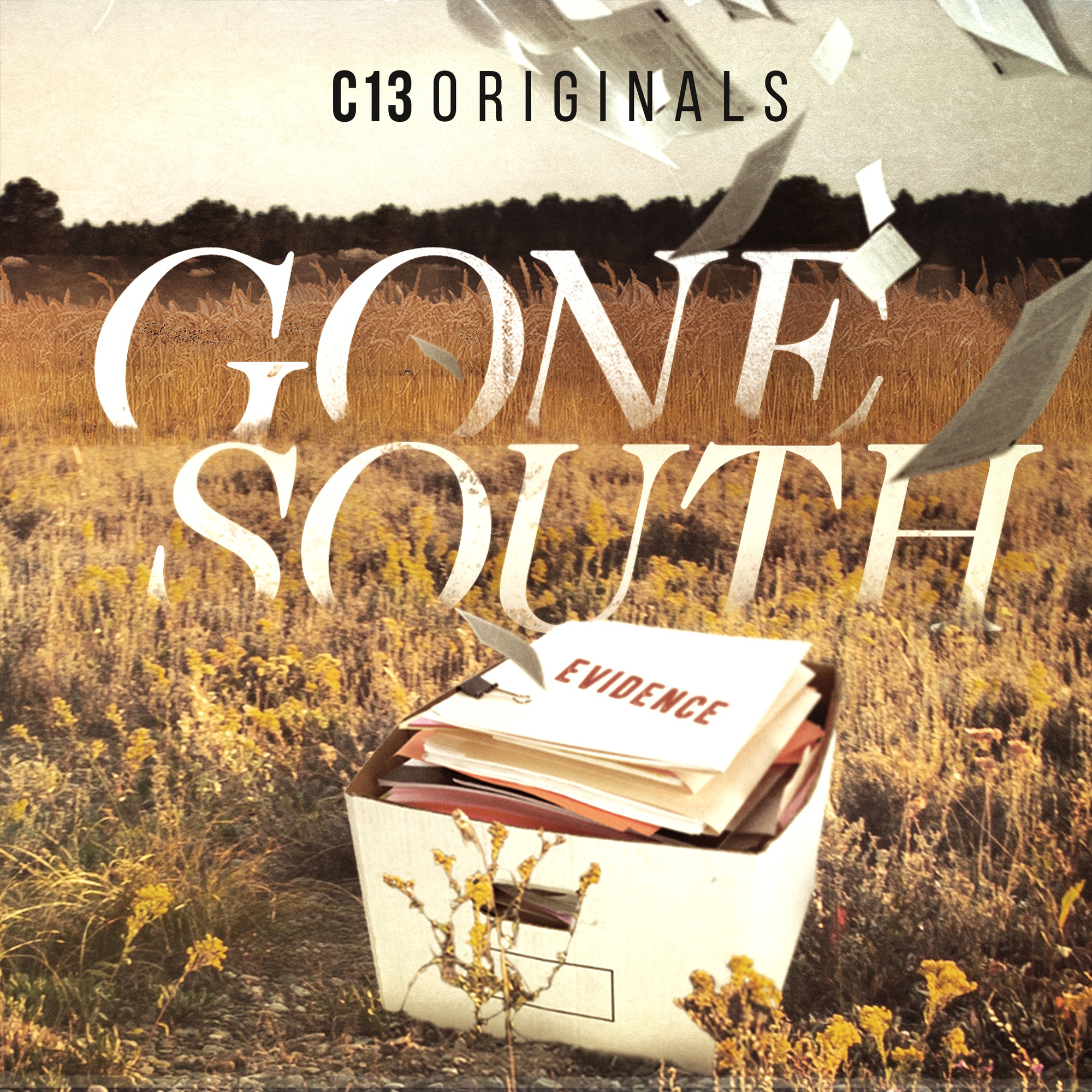 Crooked City: Dixon, IL