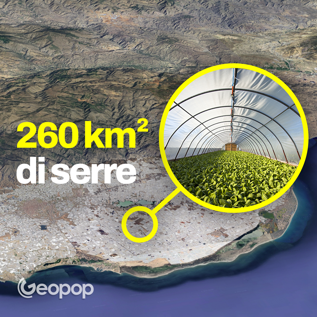 Serre di Almeria, il "mare di plastica" d'Europa esteso 260kmq: cosa sono e come funzionano