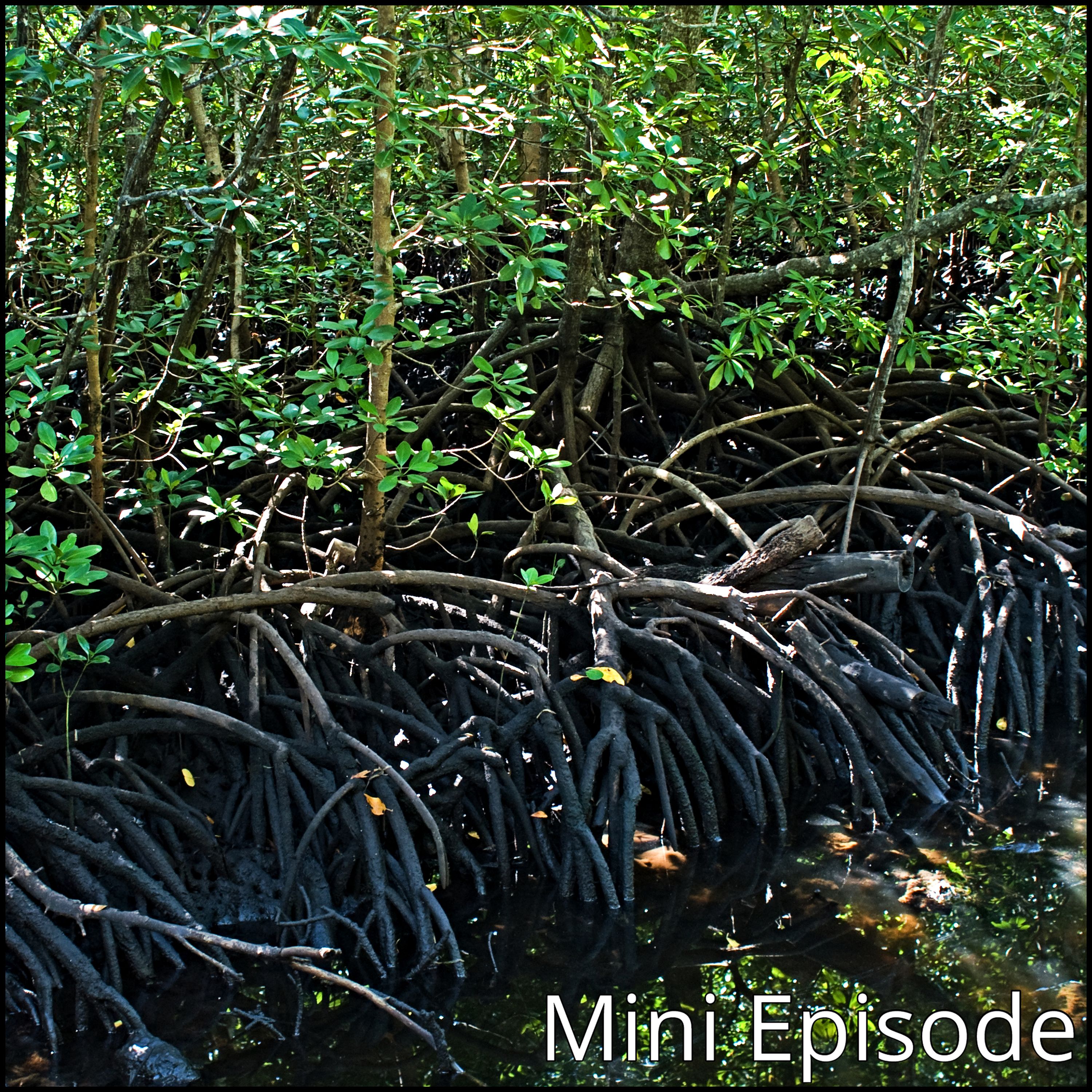 Mini Episode: Egyptian Dinosaurs