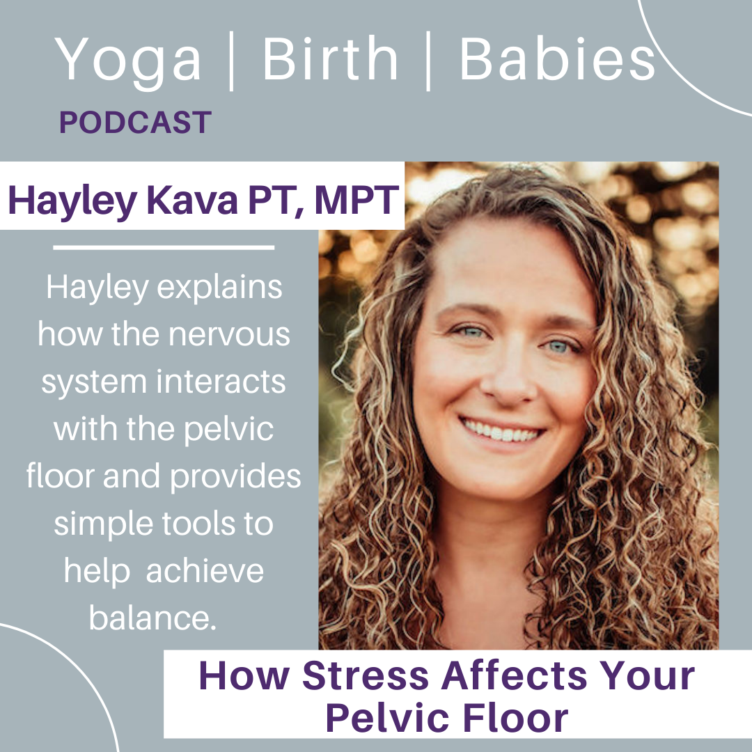 How Stress Affects Your Pelvic Floor with Hayley Kava PT, MPT episode artwork