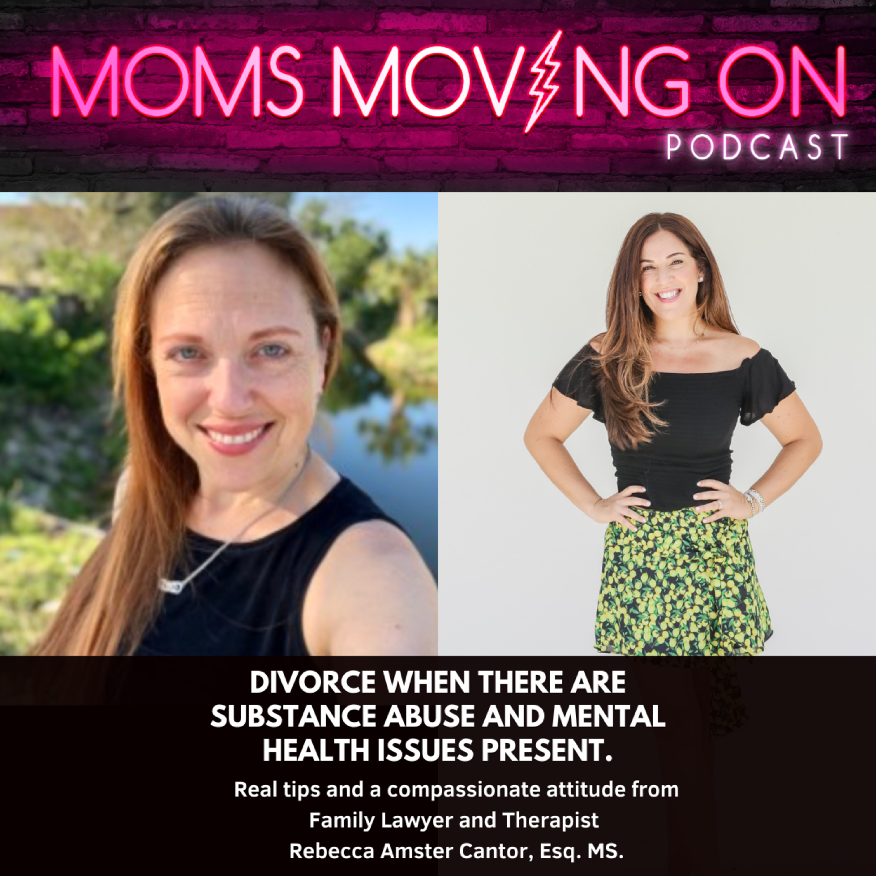 How to Get Divorced When There are Substance Abuse or Mental Health Issues Involved; with Lawyer and Therapist Rebecca Amster Cantor episode artwork