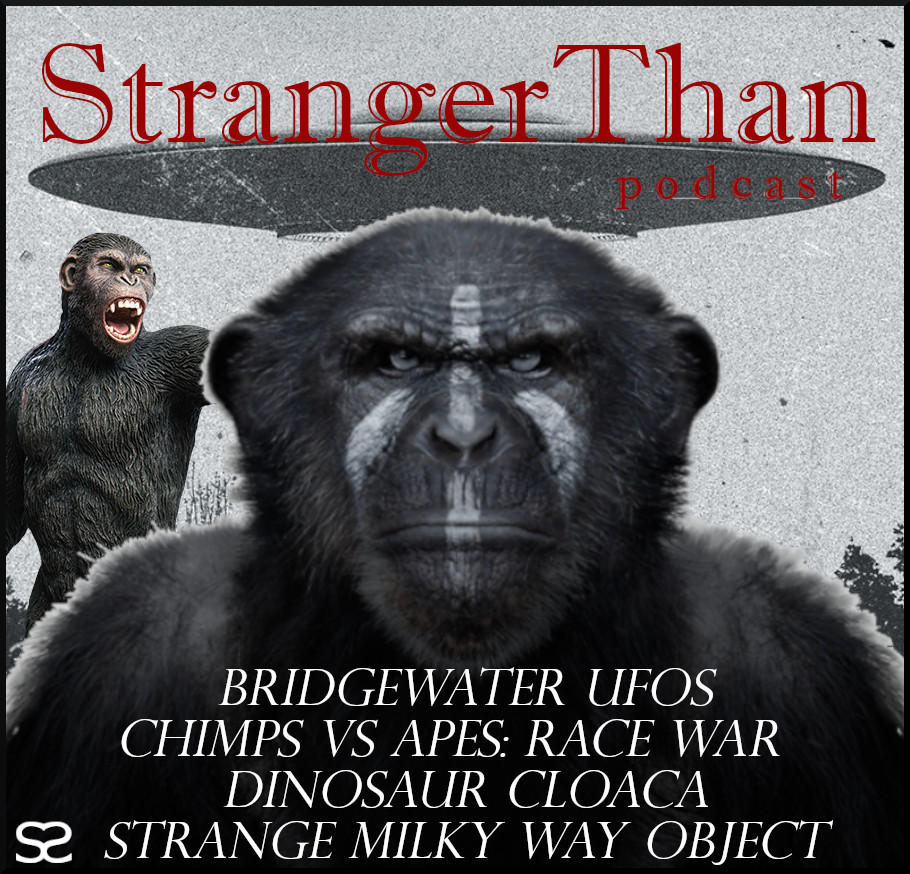 Bridgewater UFOs - Ape Wars - Dinosaur Cloaca - Space object episode artwork