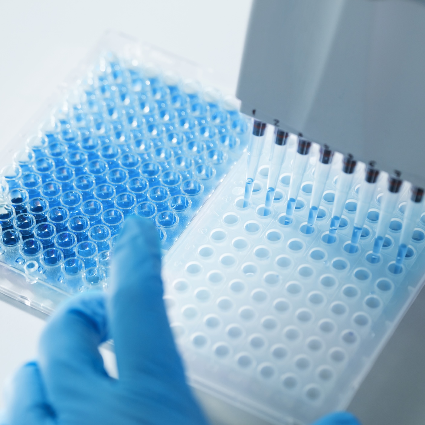 Prop 38: Immunology Research Bond