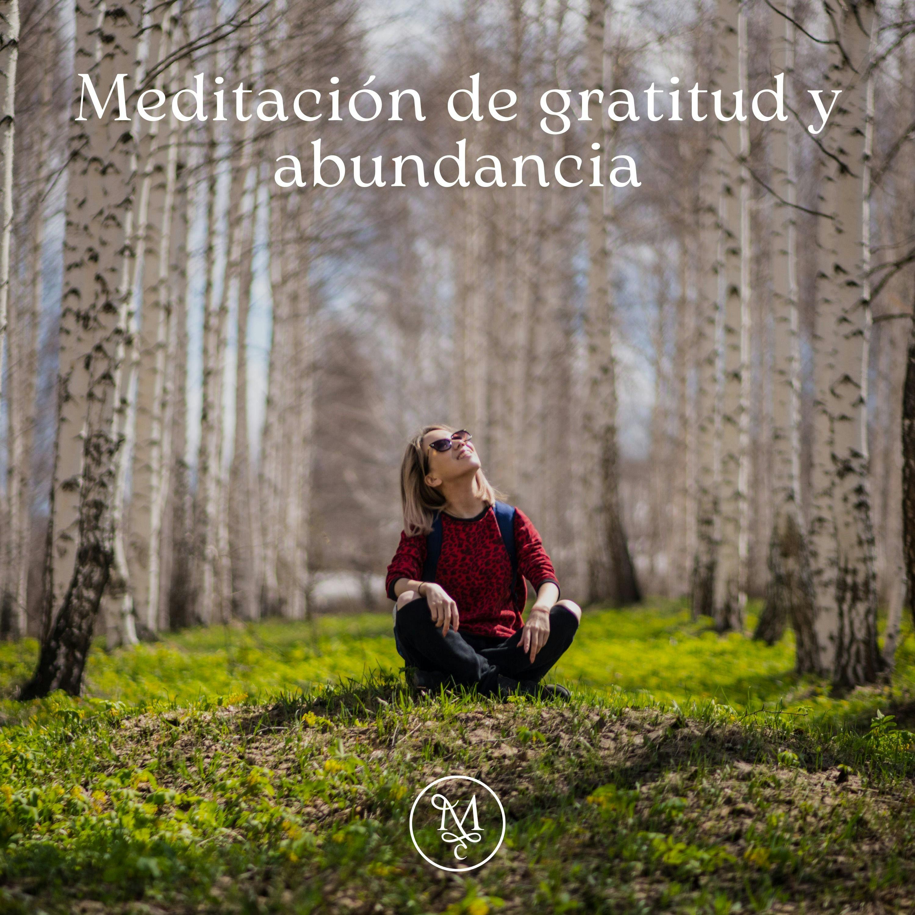 Meditación de abundancia y gratitud 🌬️💆‍♀️ 🌊| 10 mins | Encuentra tu paz interior ✨