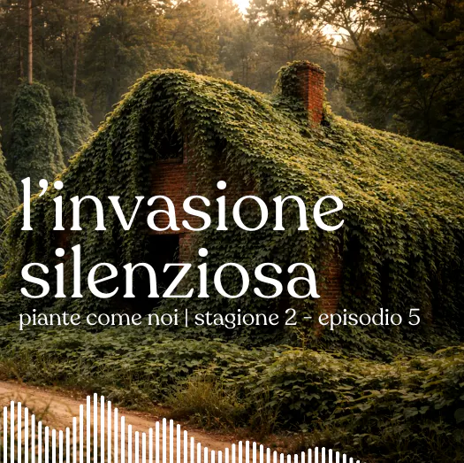 L'invasione silenziosa - Stagione 2 | Episodio 5 episode artwork