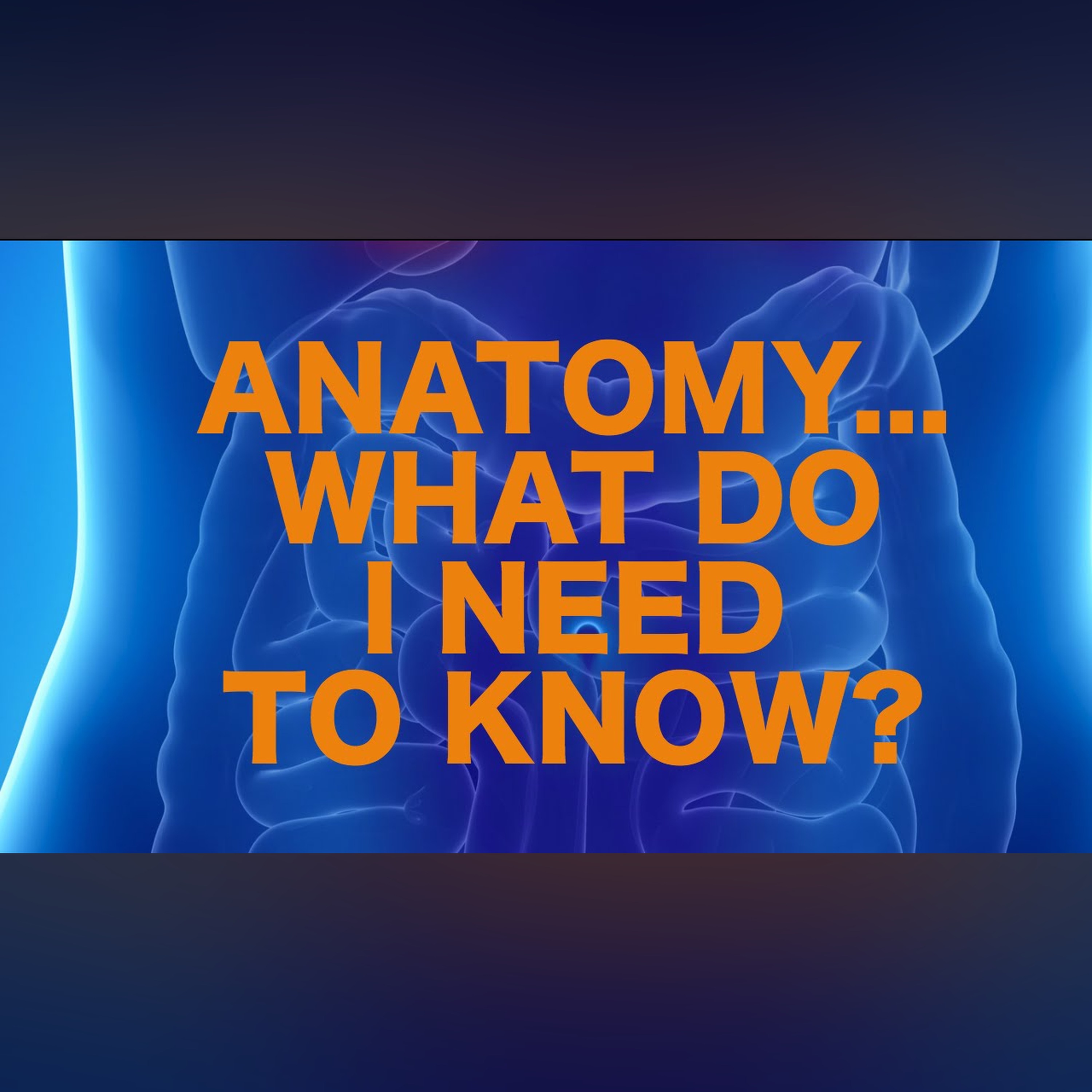 Anatomy on USMLE -- What's High Yield? episode artwork