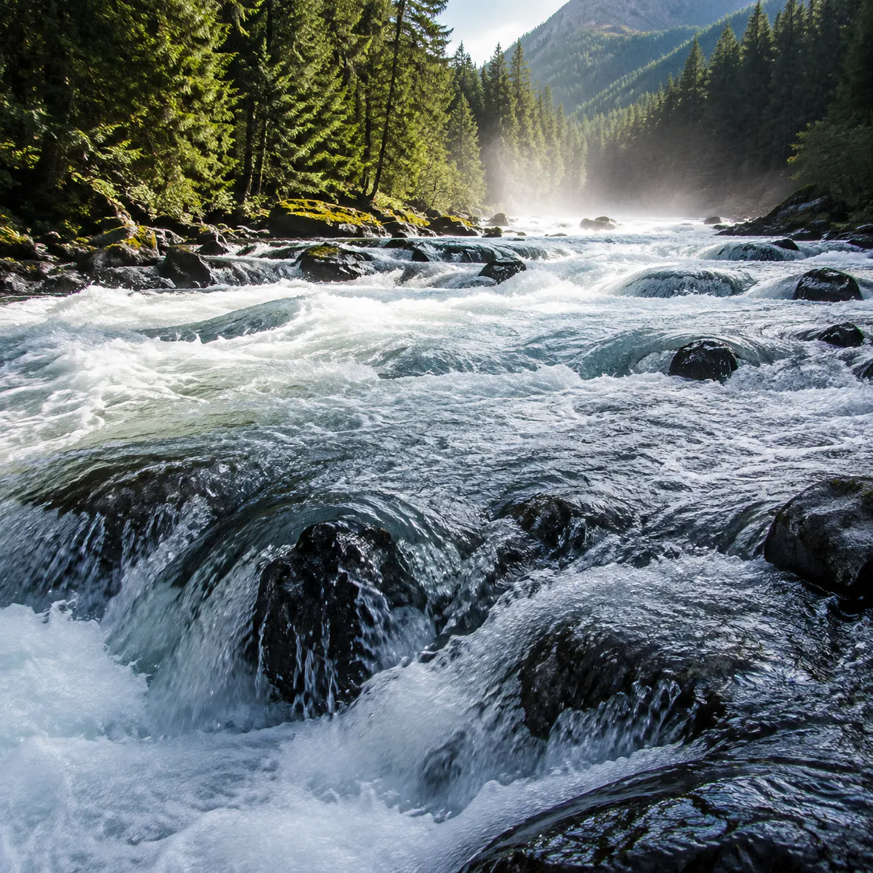 💧 RIVIÈRE LARGE et COURANT PUISSANT sur les ROCHERS — 1 H d'eau continue pour méditer et se concentrer