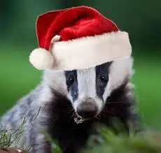 263: CHRISTMAS SPECIAL 2020 - The Best Bits Part ONE