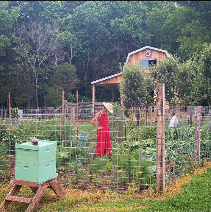 AMAZING TRANSFORMATION From FAILED Blueberry FARM into Self Sufficient Homestead