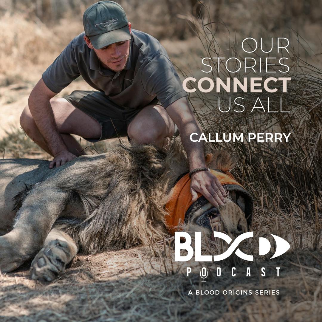 Episode 437 - Callum Perry || A Dream Job In South Africa