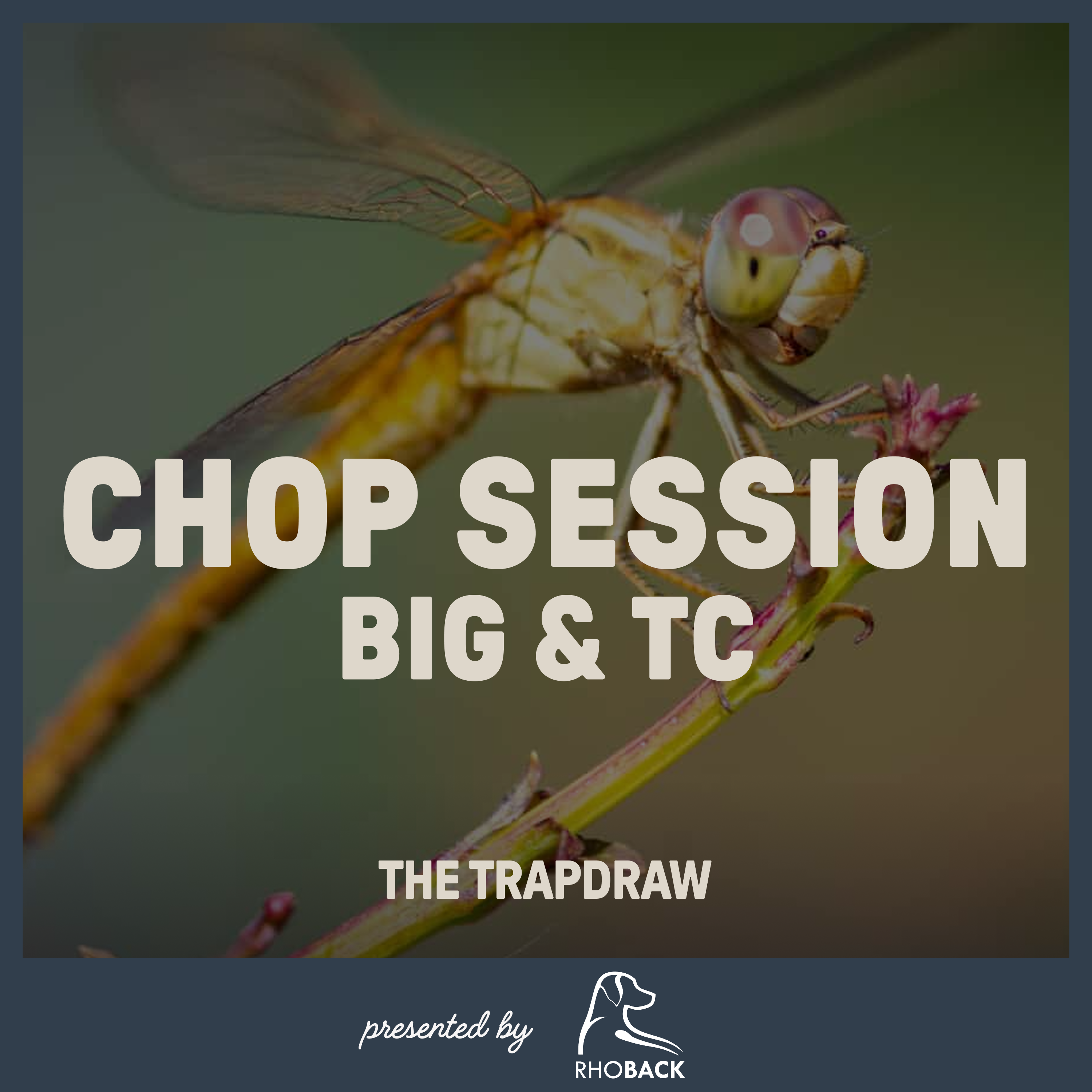 407: Chop Session