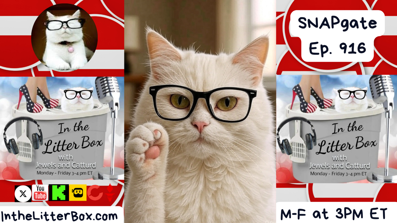 SNAPgate | In the Litter Box w/ Jewels & Catturd – Ep. 916 – 11/5/2025