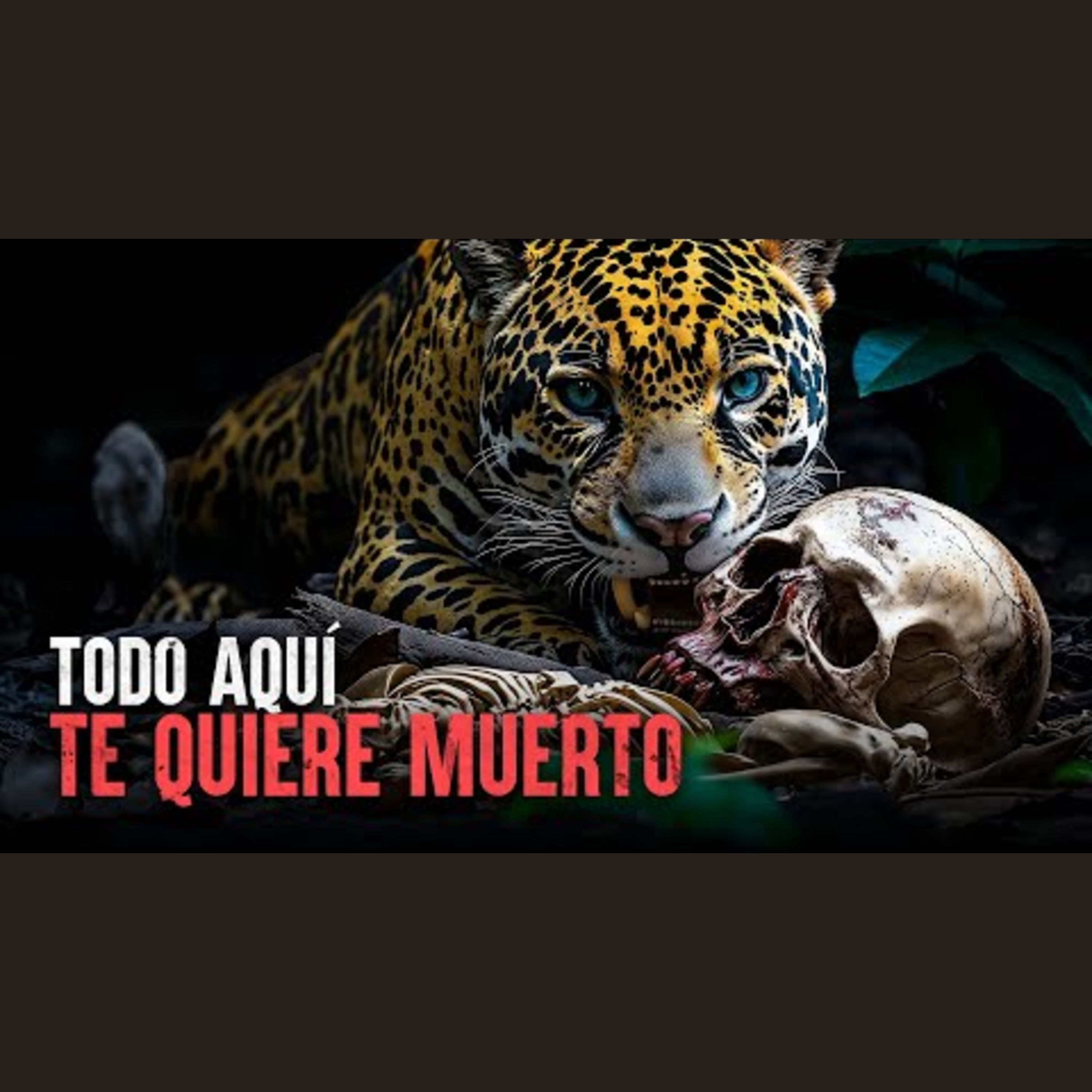 Cómo Sobrevivir los 5 animales más mortales de Sudamérica episode artwork