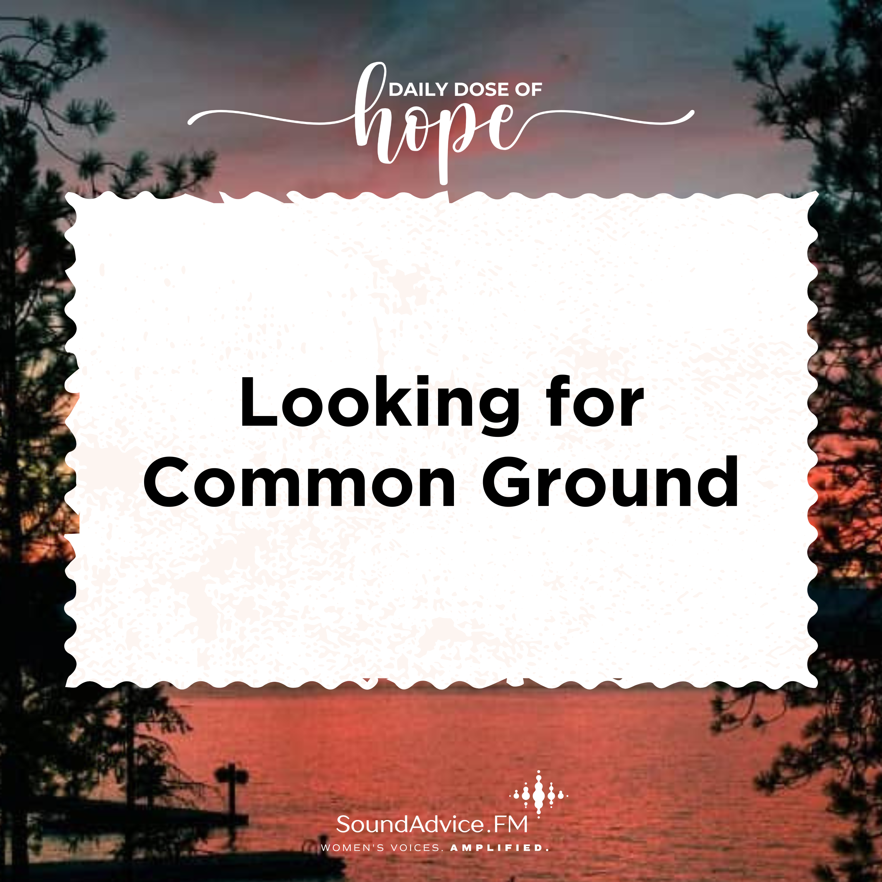 Looking for Common Ground episode artwork