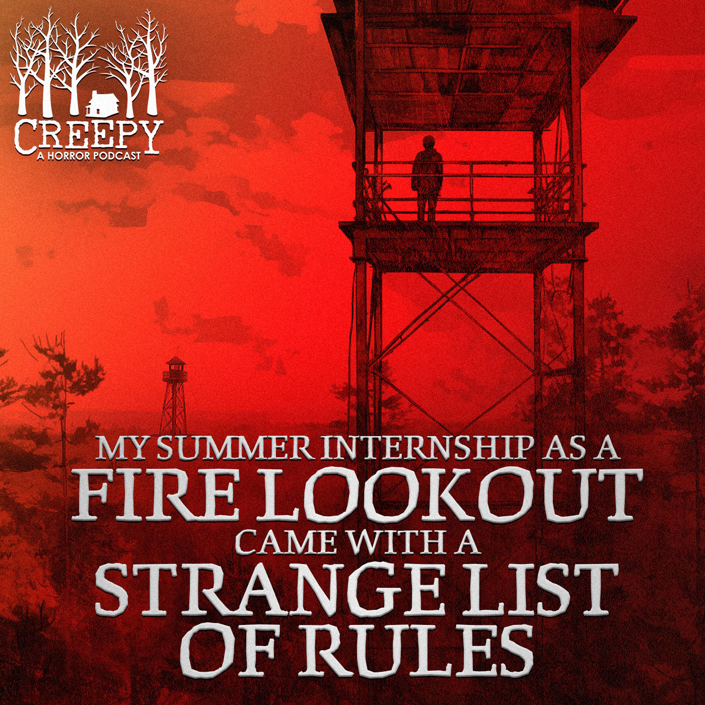 My Summer Internship As a Fire Lookout