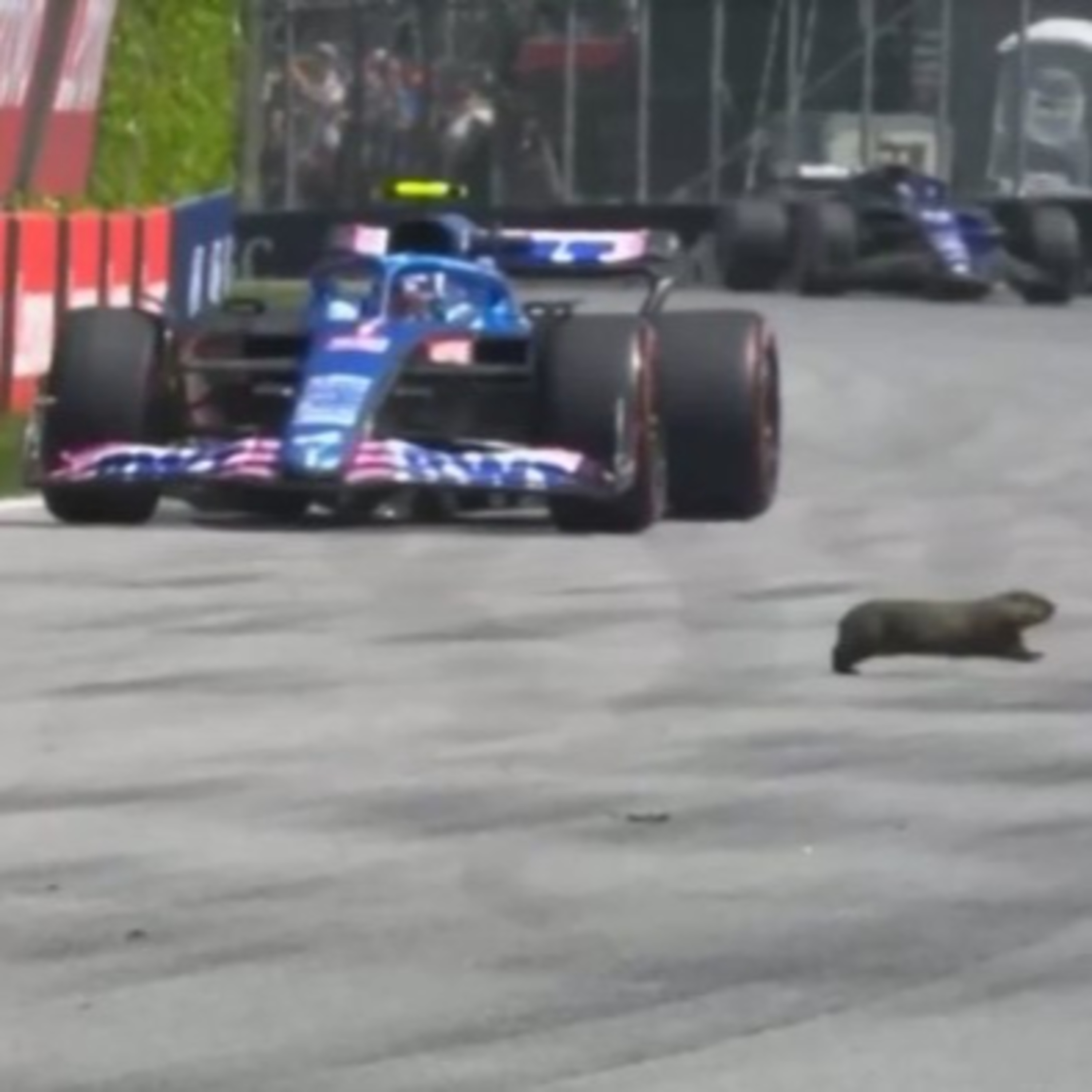 2023 Canadian Grand Prix-view