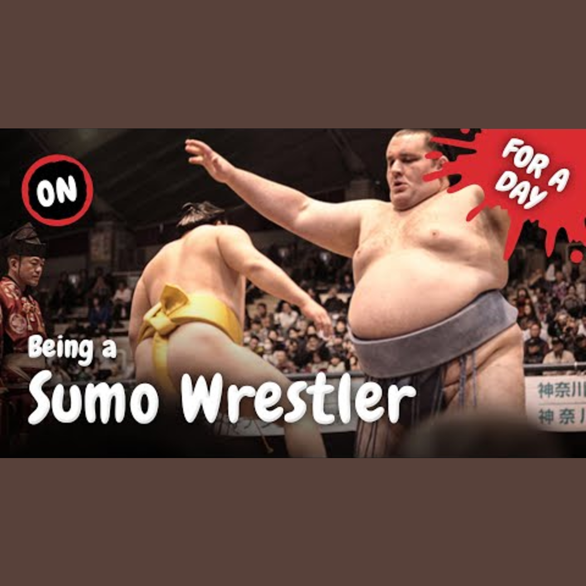 Living as a Sumo Wrestler for a Day episode artwork