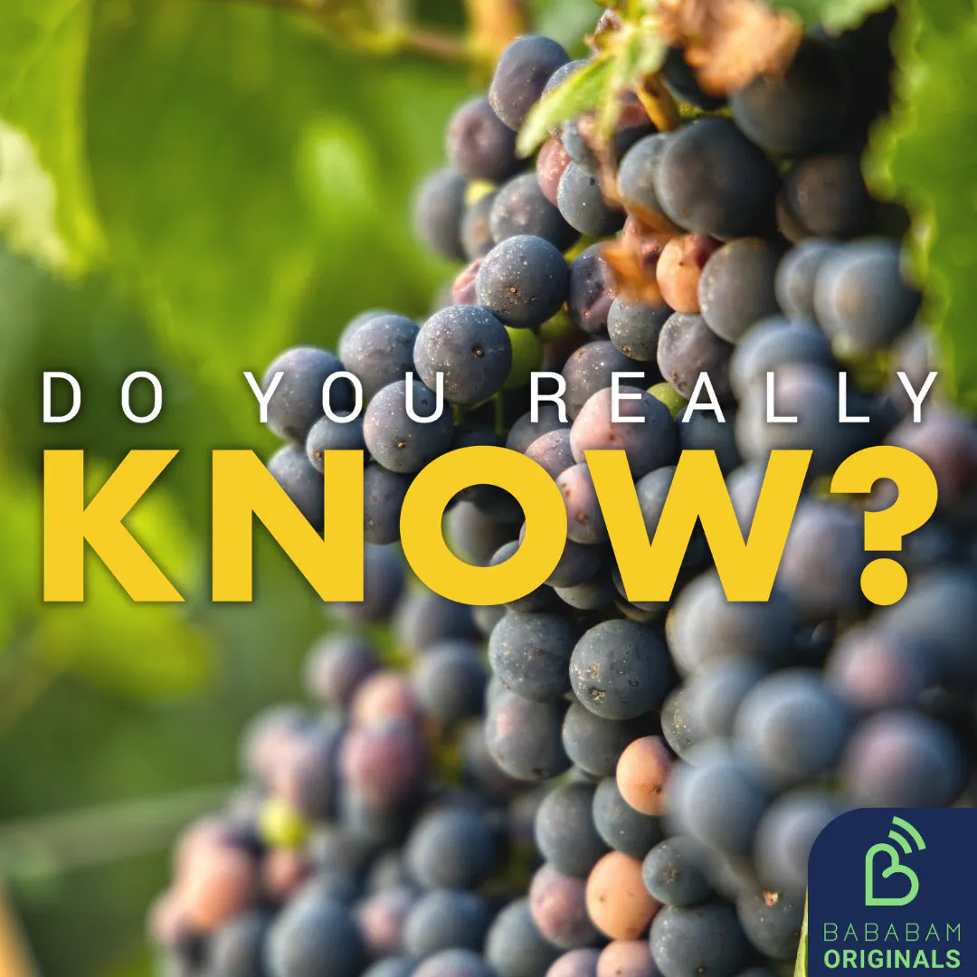Cover art for the episode "Is Britain the new place to get your wine?" from Do you really know?
