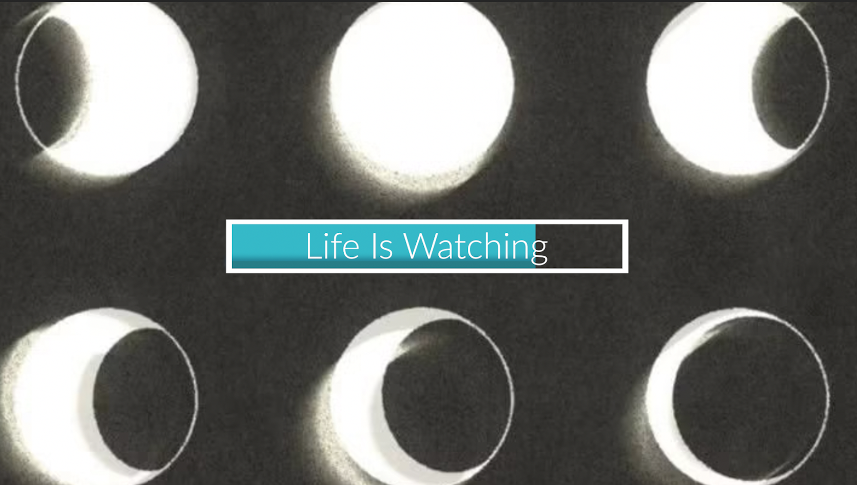 213- Life Is Watching