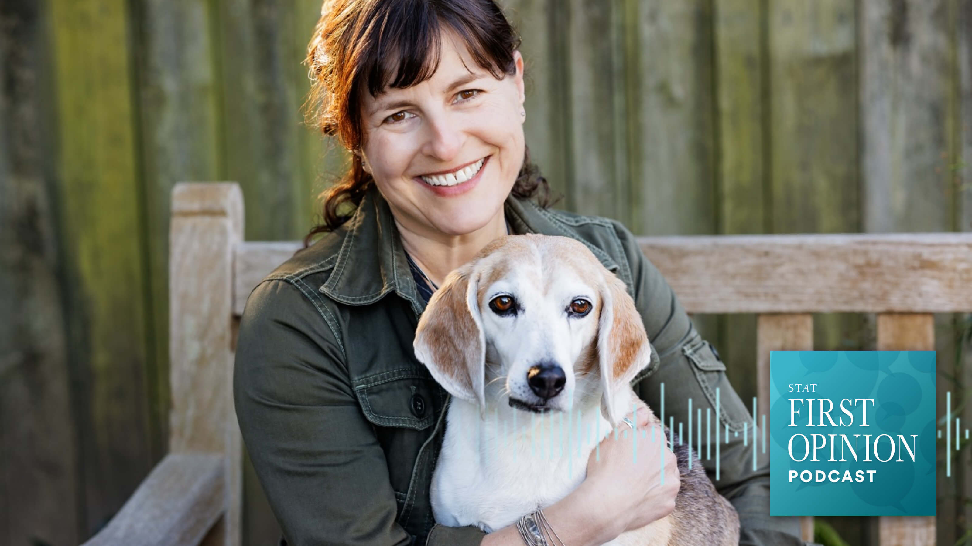 Why beagles are the No. 1 dog for medical research