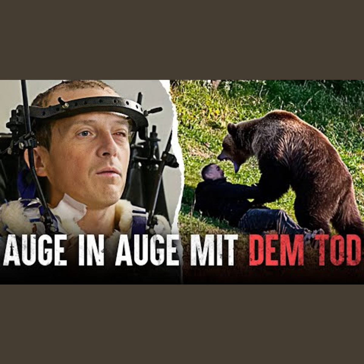 Die tödlichsten Bärenangriffe: Die Johan Otter Tragödie