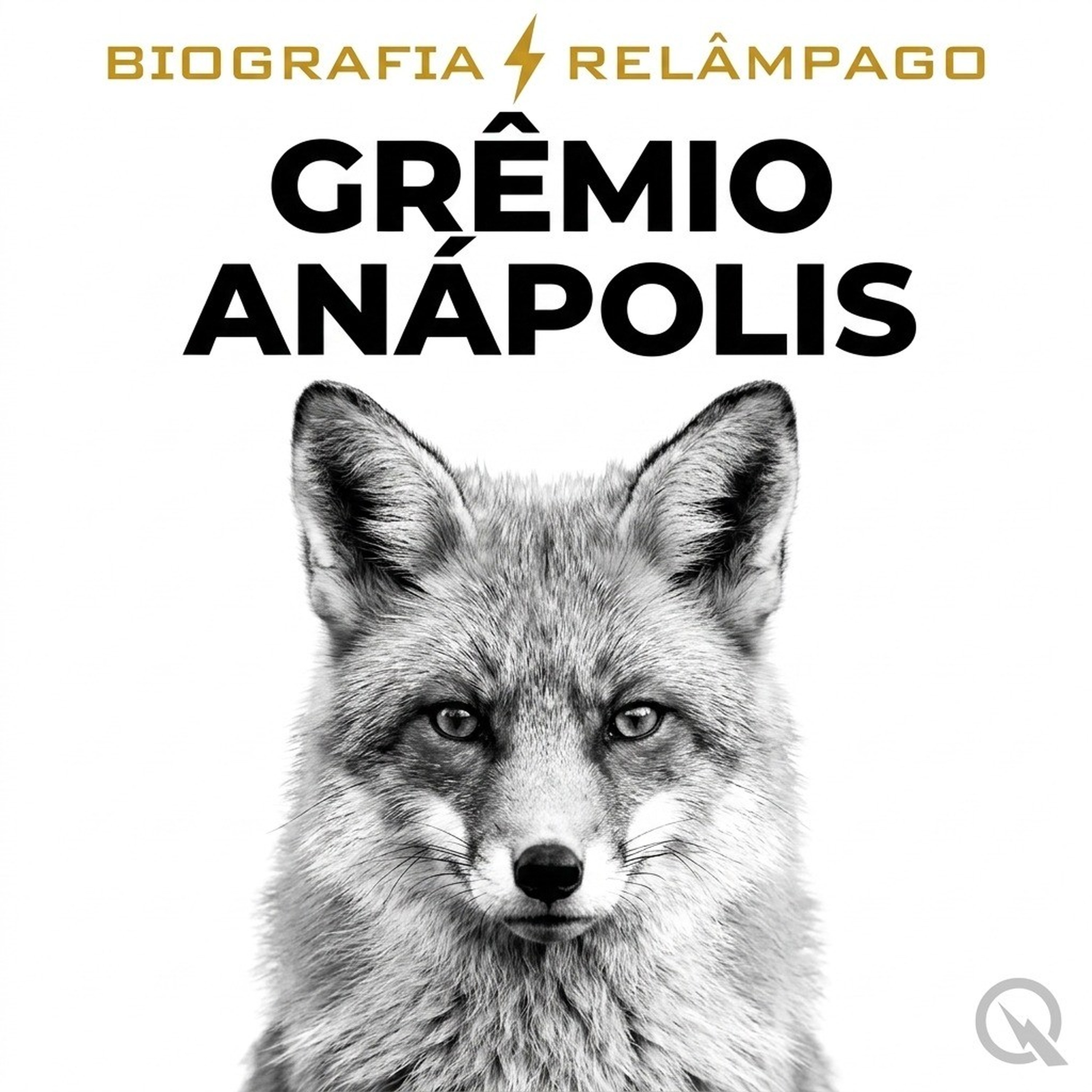 Grêmio Anápolis - Biografia Relâmpago