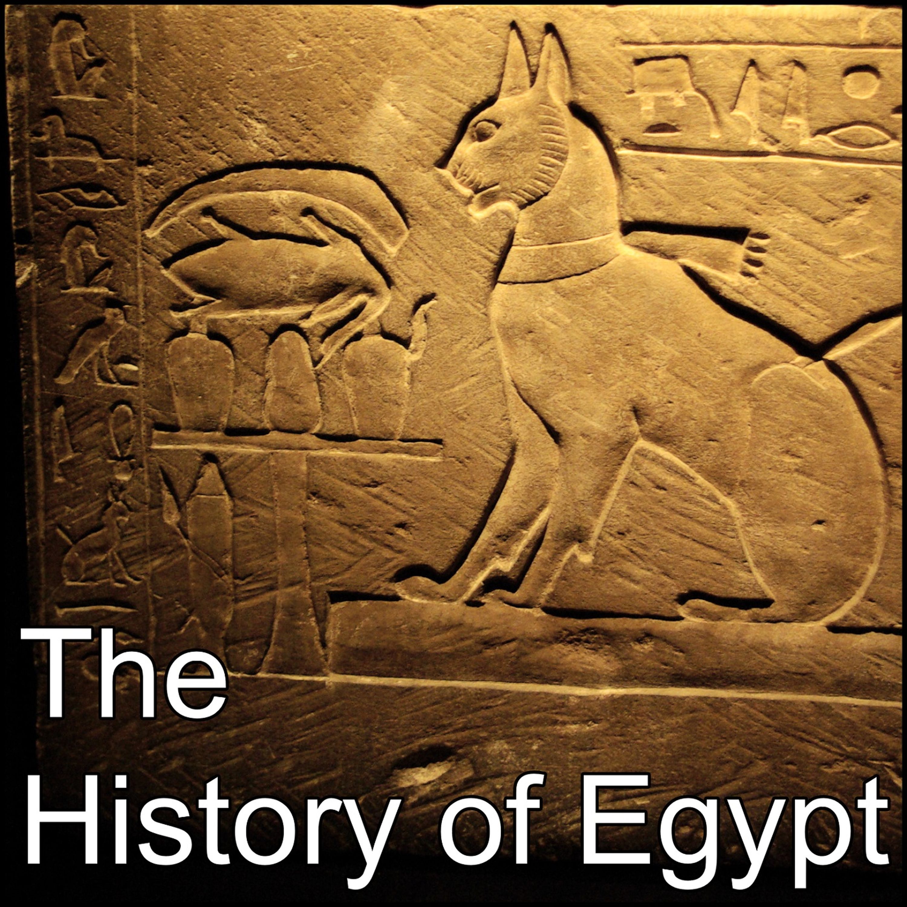 98: Young Bull Appearing In Memphis